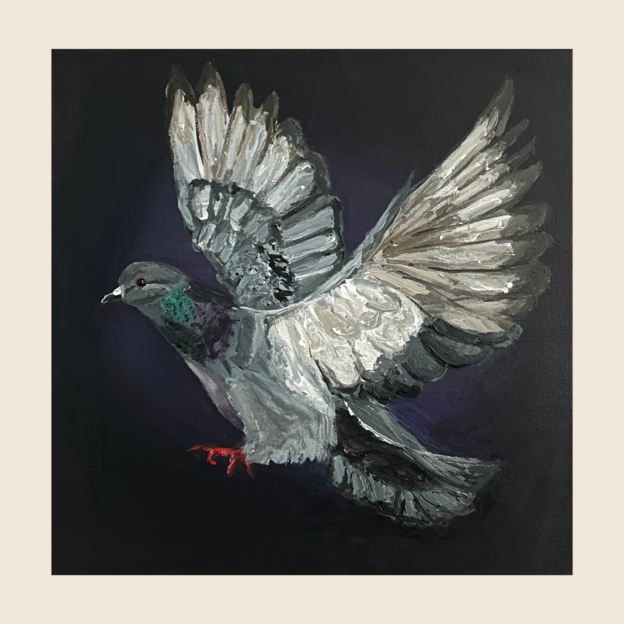 Pigeon in the Dark