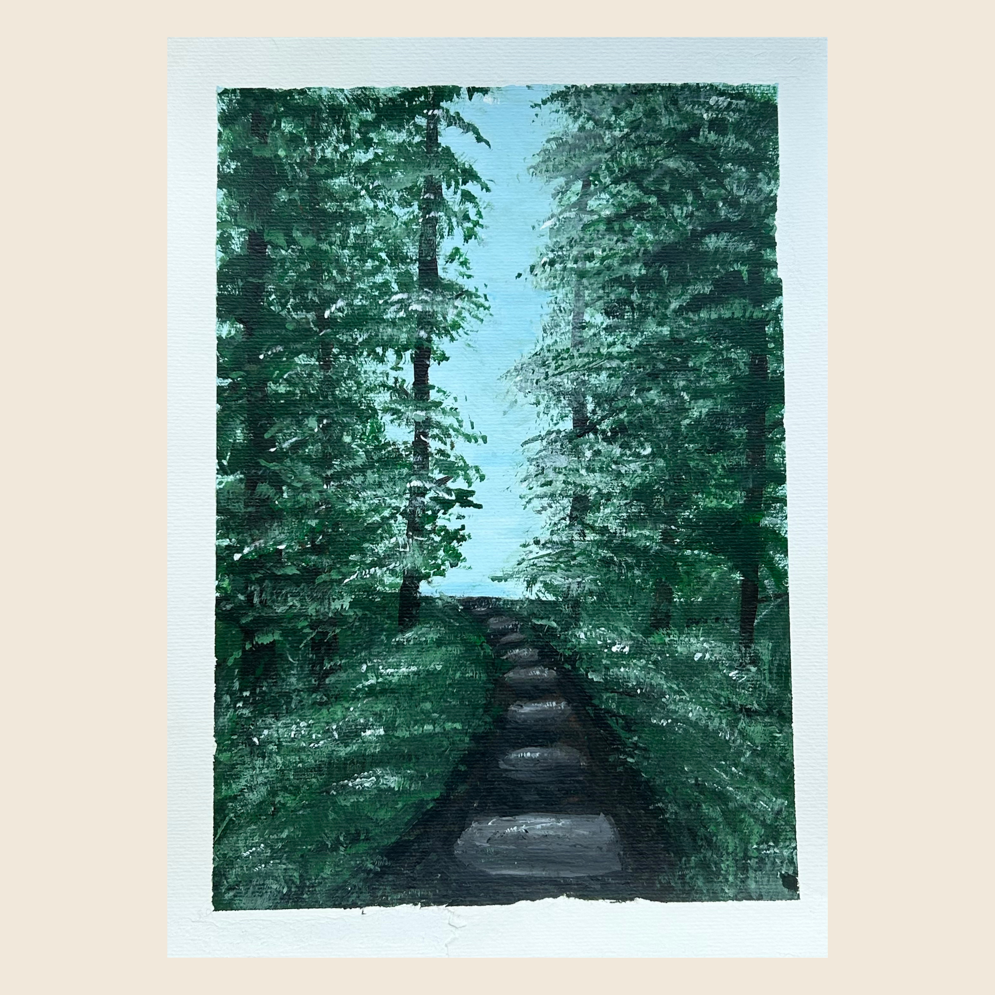 A Walk Through The Green Forest