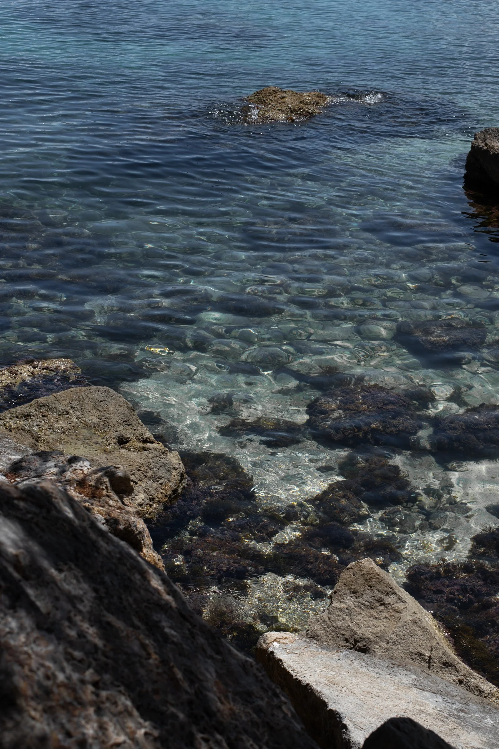 Clear coastal water with rocks and pebbles visible beneath the surface, with larger rocks along the shoreline.