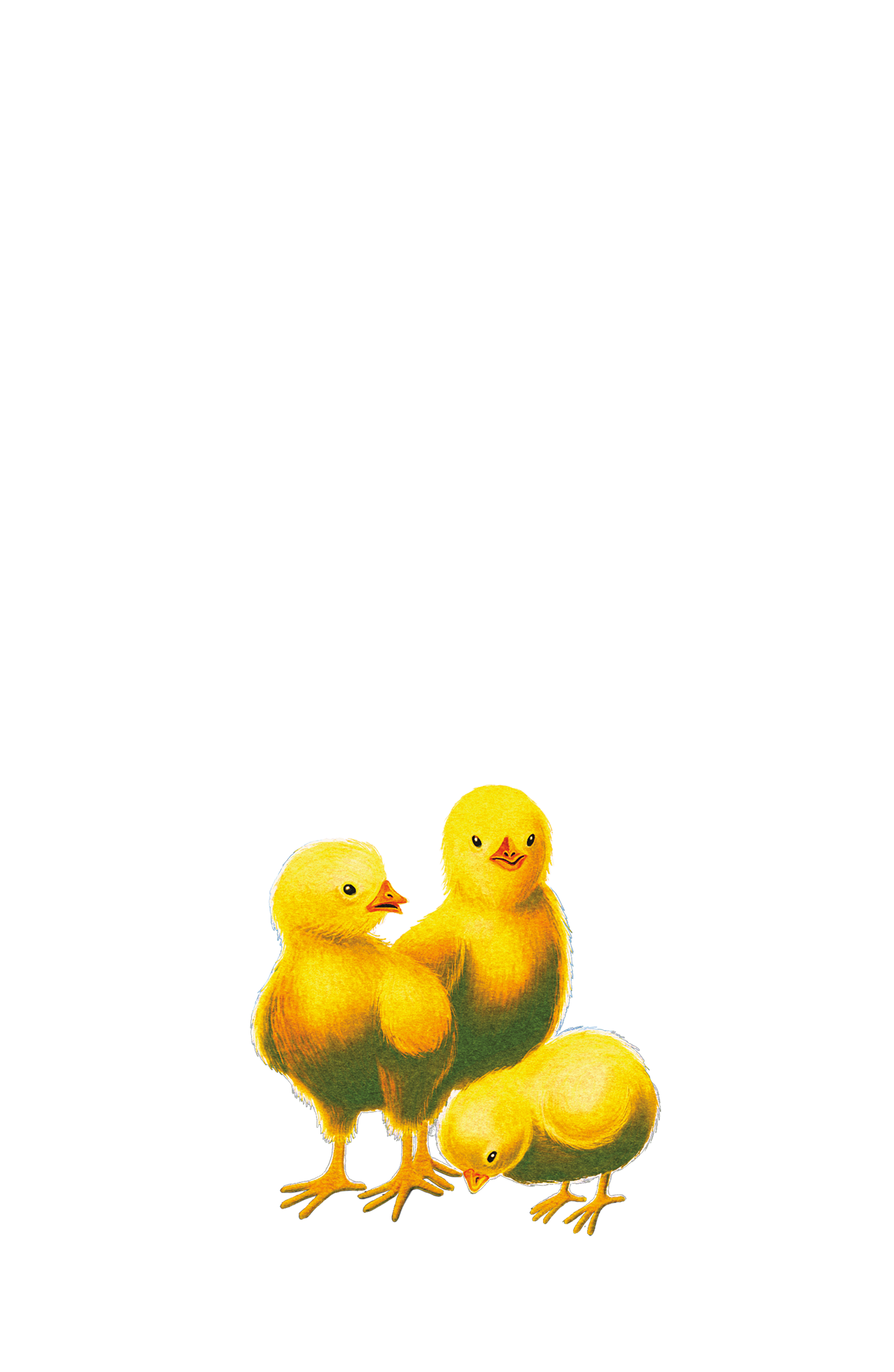 Three yellow chicks, standing together on a black background.