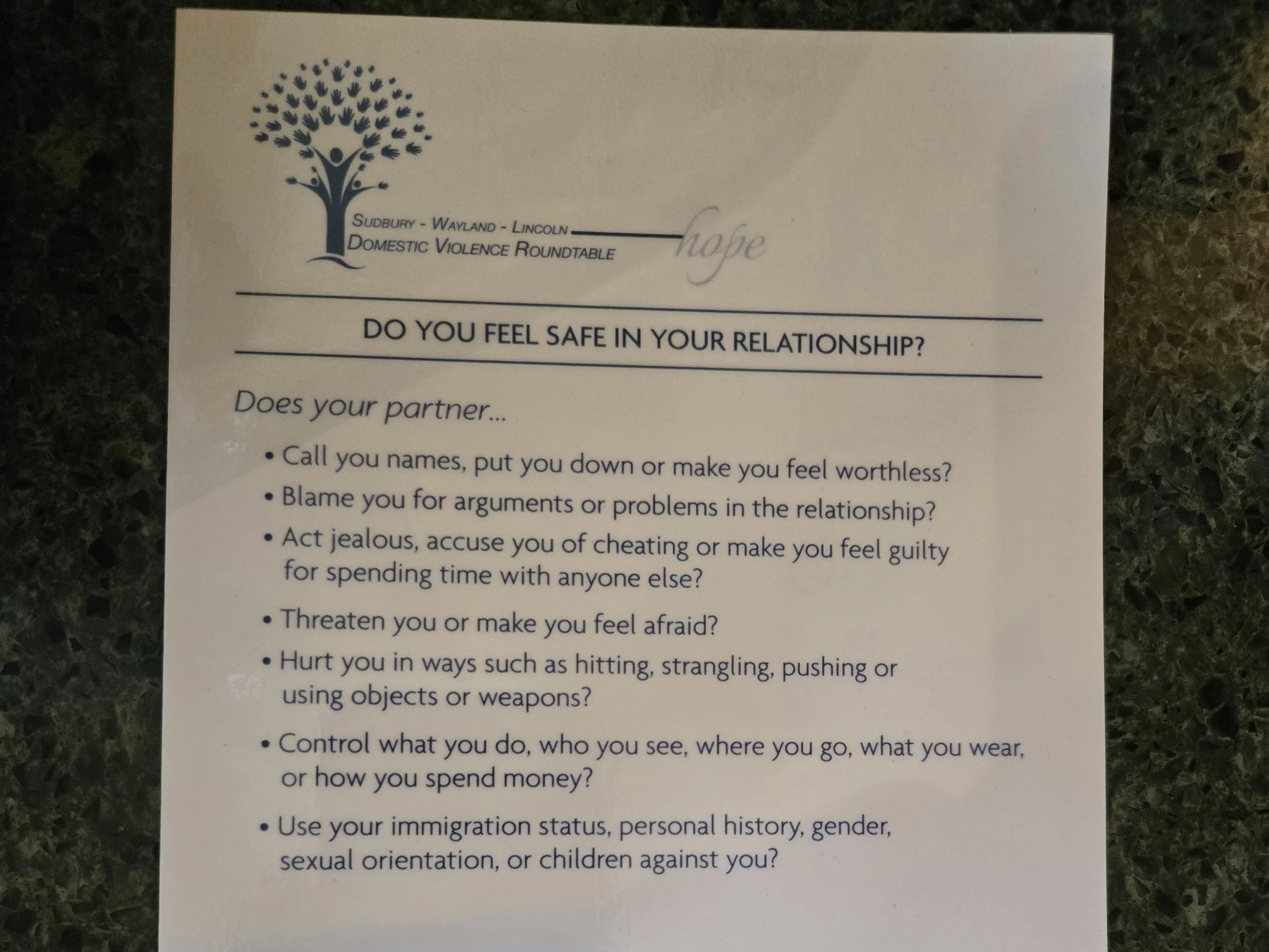 A printed flyer with a blue tree logo at the top left, including a person figure with raised arms as branches. The flyer promotes a Domestic Violence Roundtable with a heading asking if the reader feels safe in their relationship and contains a list of questions related to relationship safety and control.