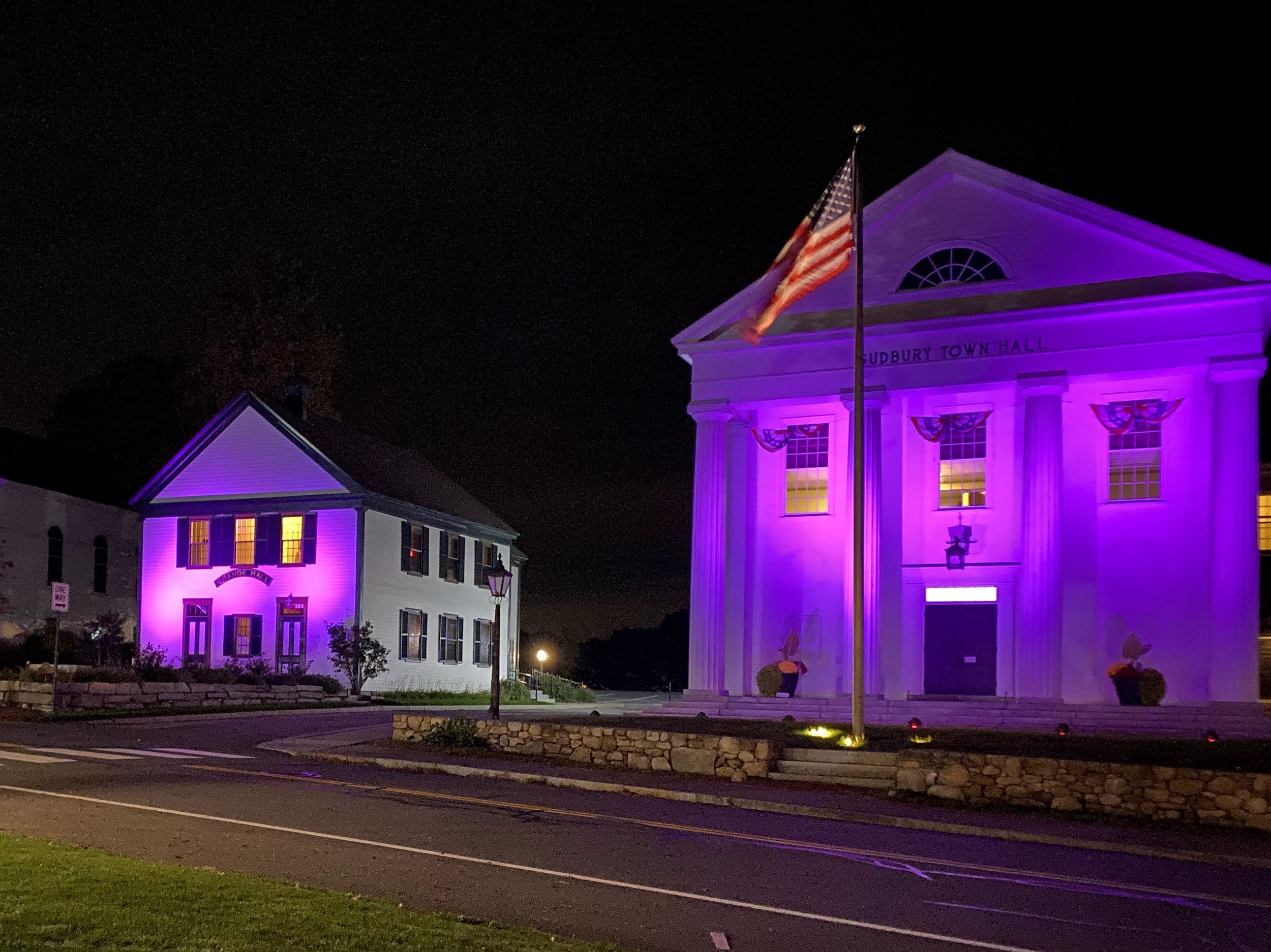 Nighttime image of a white town hall building illuminated with purple lights, with an American flag flying in front, and another white building nearby with purple lighting.