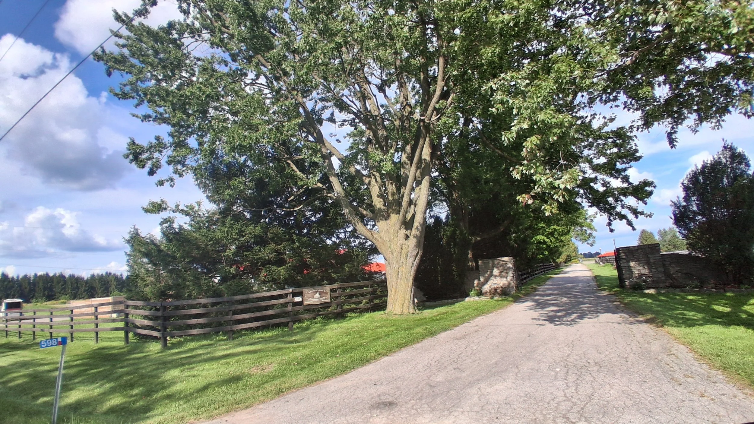 20260825_164307.jpg
