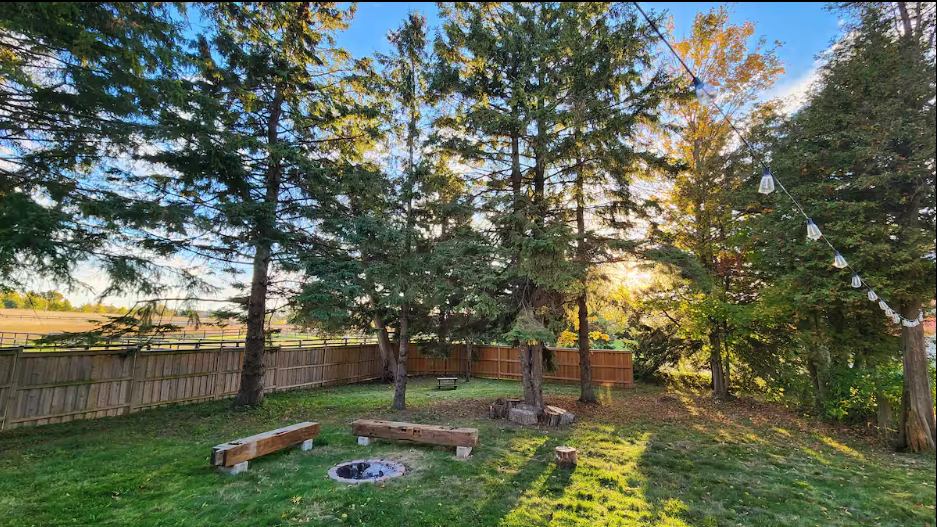 farmhouse backyard.png