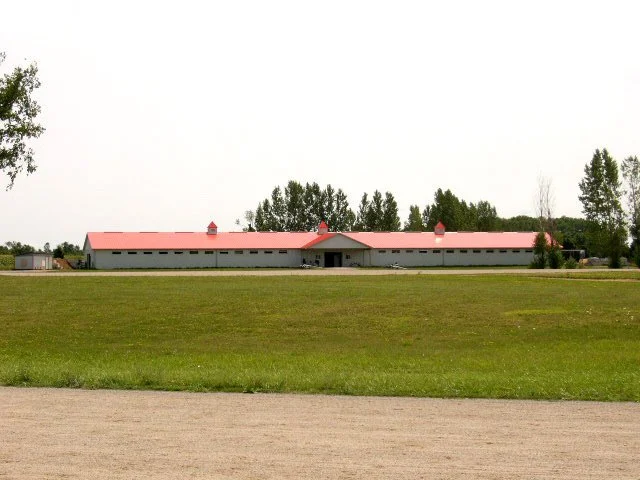 One of five barns on the Stephenson's Training Centre grounds.