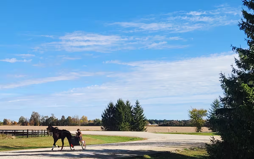 farm track.png