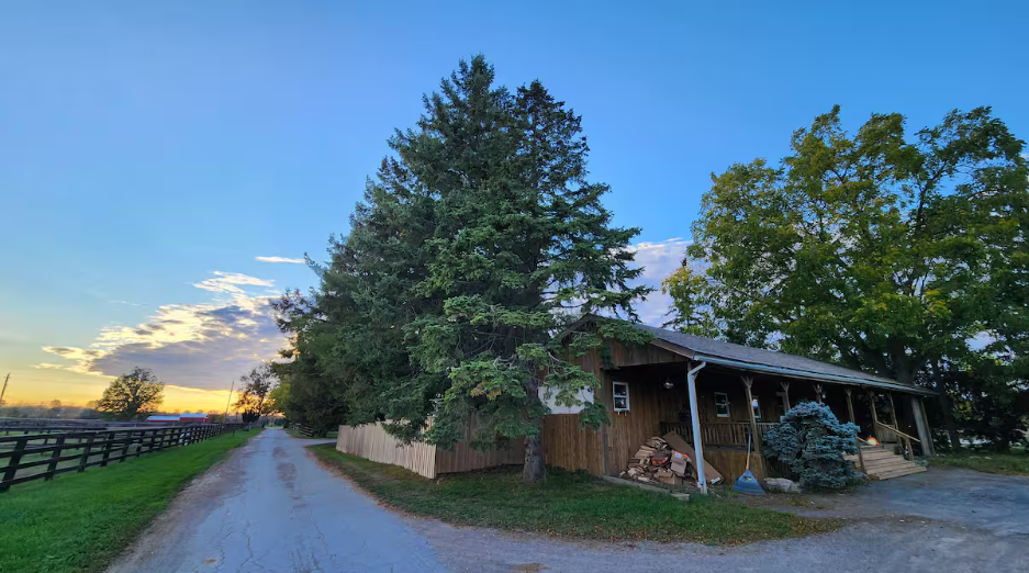 farm driveway + farmhouse.png