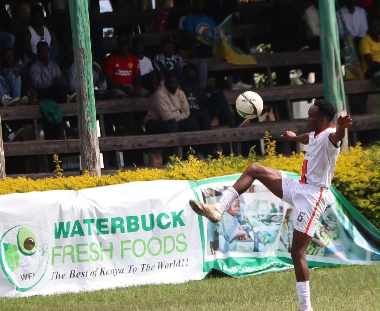 A soccer player in a white uniform is about to kick a soccer ball, with spectators seated on wooden bleachers in the background, and a banner that reads 'Waterbuck Fresh Foods' in the foreground.