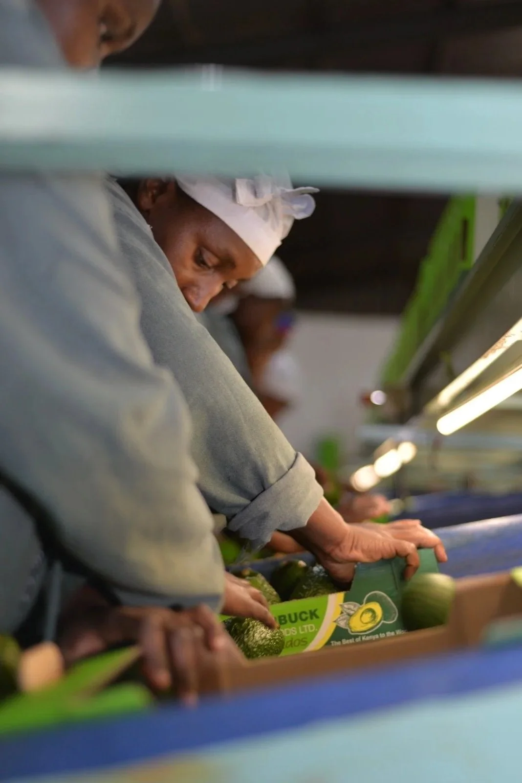 A worker wearing a chef's hat inspects avocados in a grocery store.