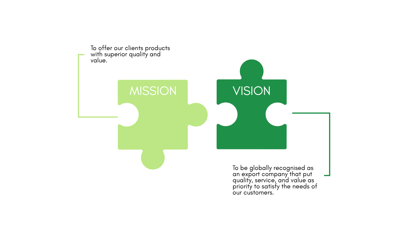 An illustration of two puzzle pieces fitting together, labeled 'MISSION' and 'VISION', representing the connection between organizational mission and vision.