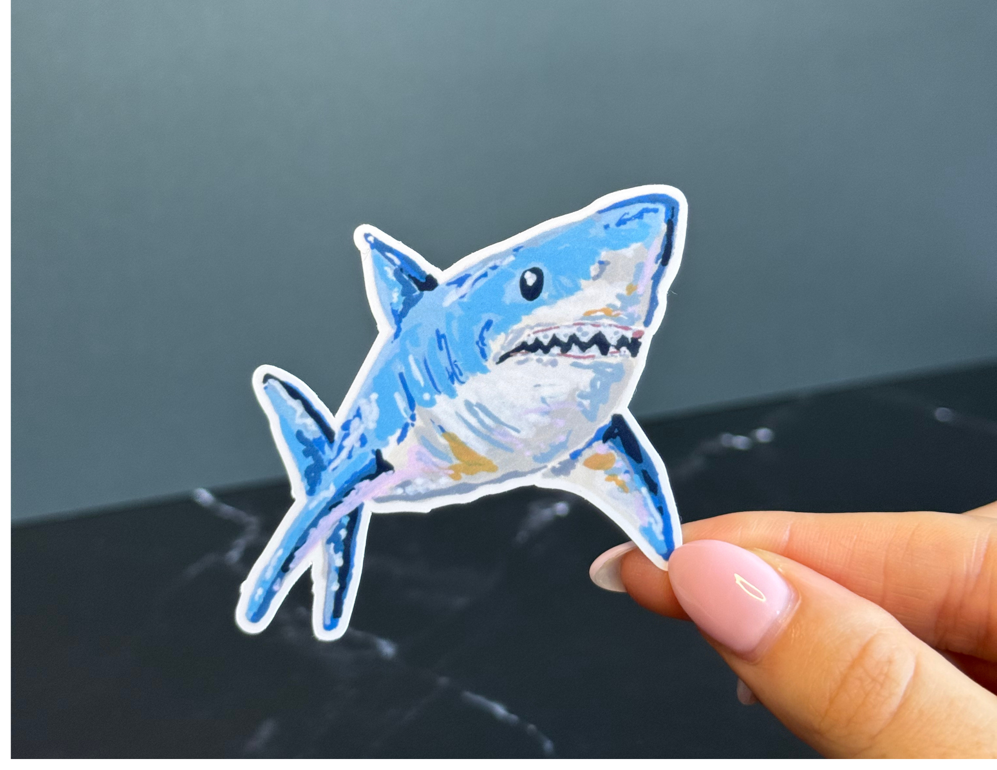 Shark Vinyl Sticker
