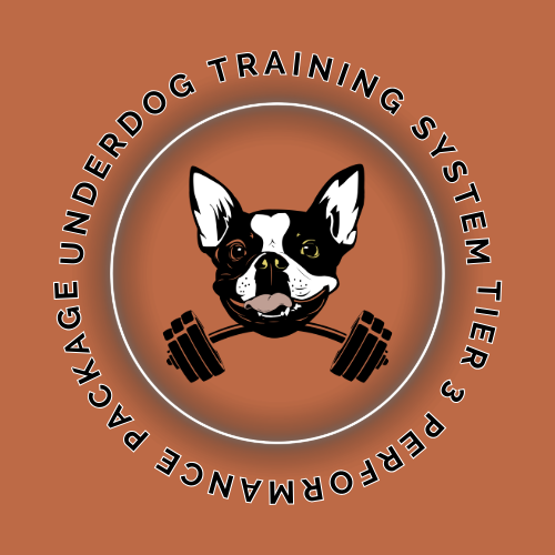 Logo featuring a dog's face with an earring, with a barbell in its mouth, surrounded by the text 'RAGE UNDERDOG TRAINING SYSTEM' and 'PERFORMANCE P' on a brown background.