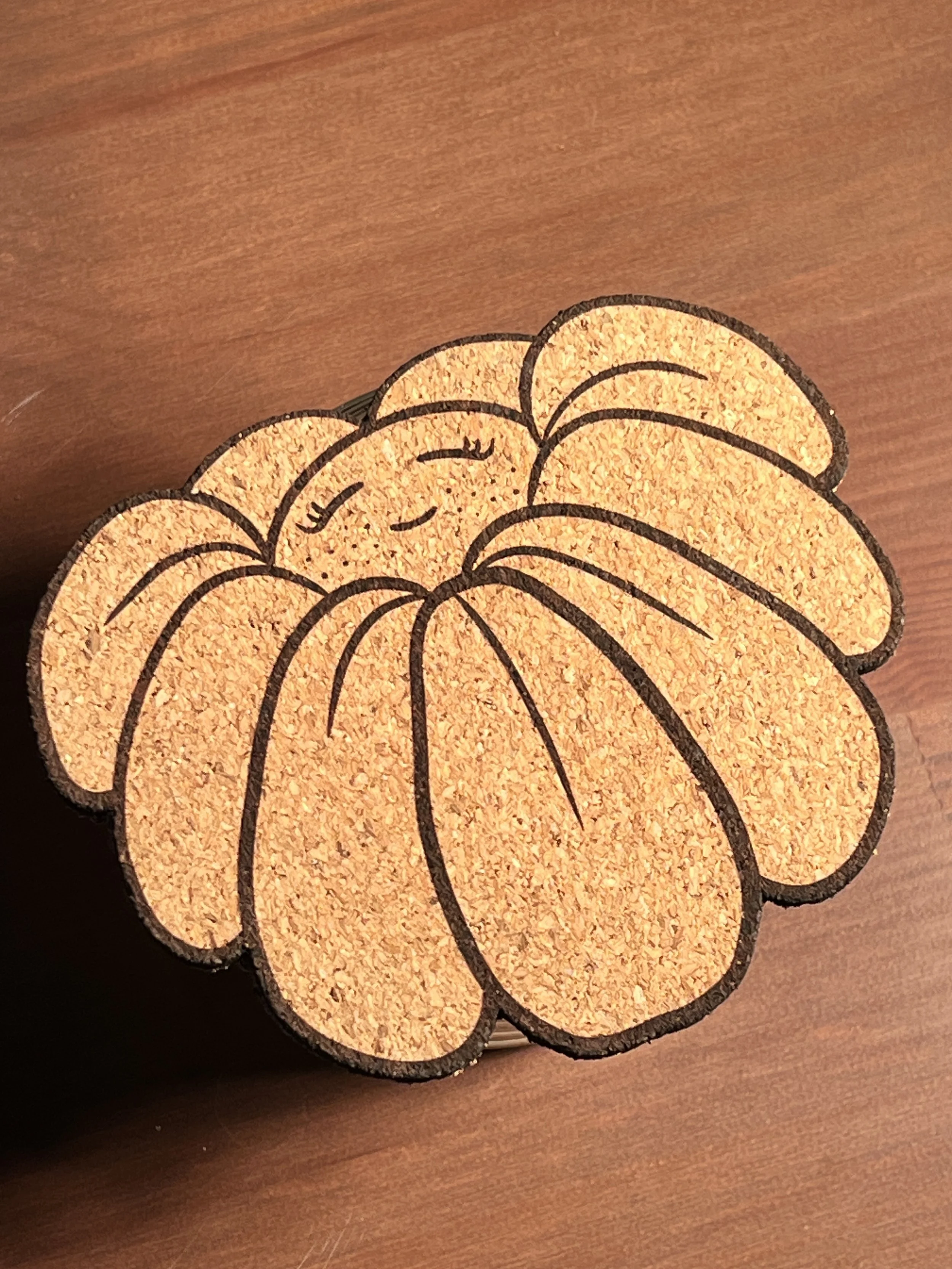 cork_daisy_closeup.JPG