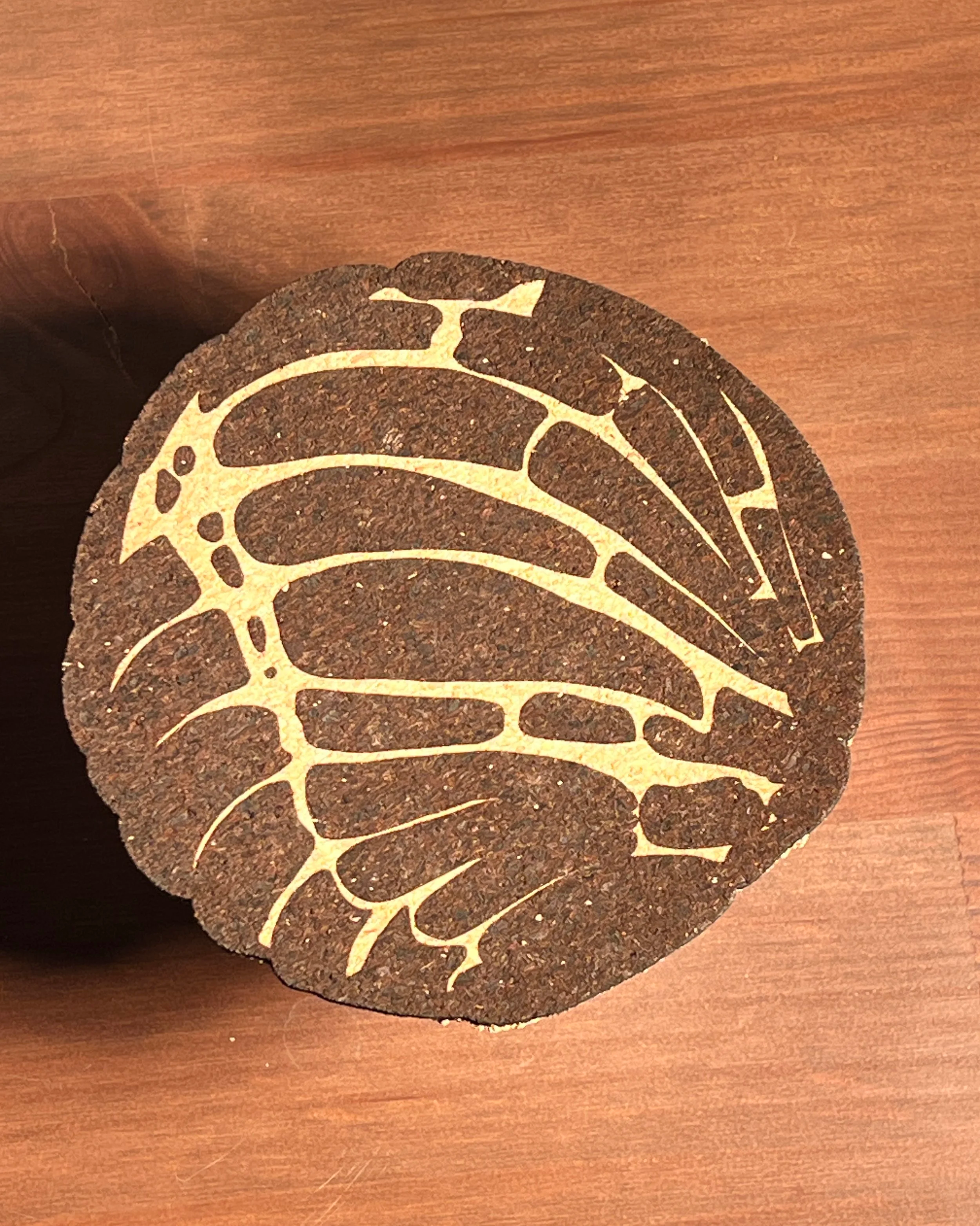 cork_concha_closeup.png