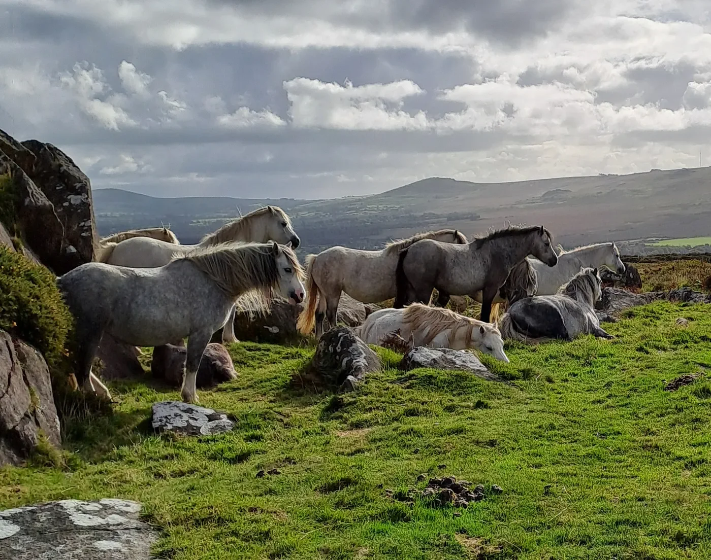 Taking a Poem for a Walk - a practice developed to connect deeply with the natural world