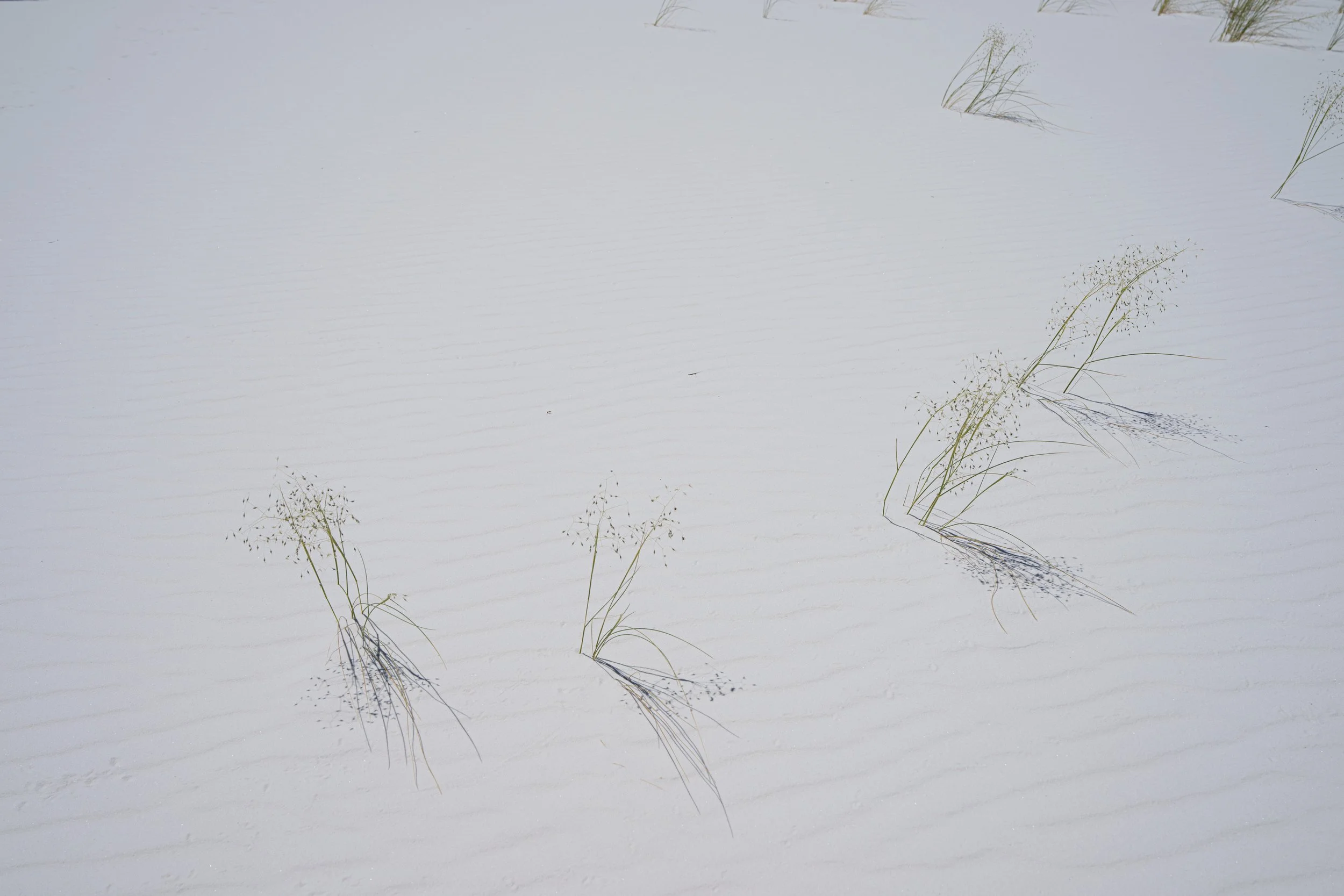 PAB_RoadTrip_2026_11295.jpg