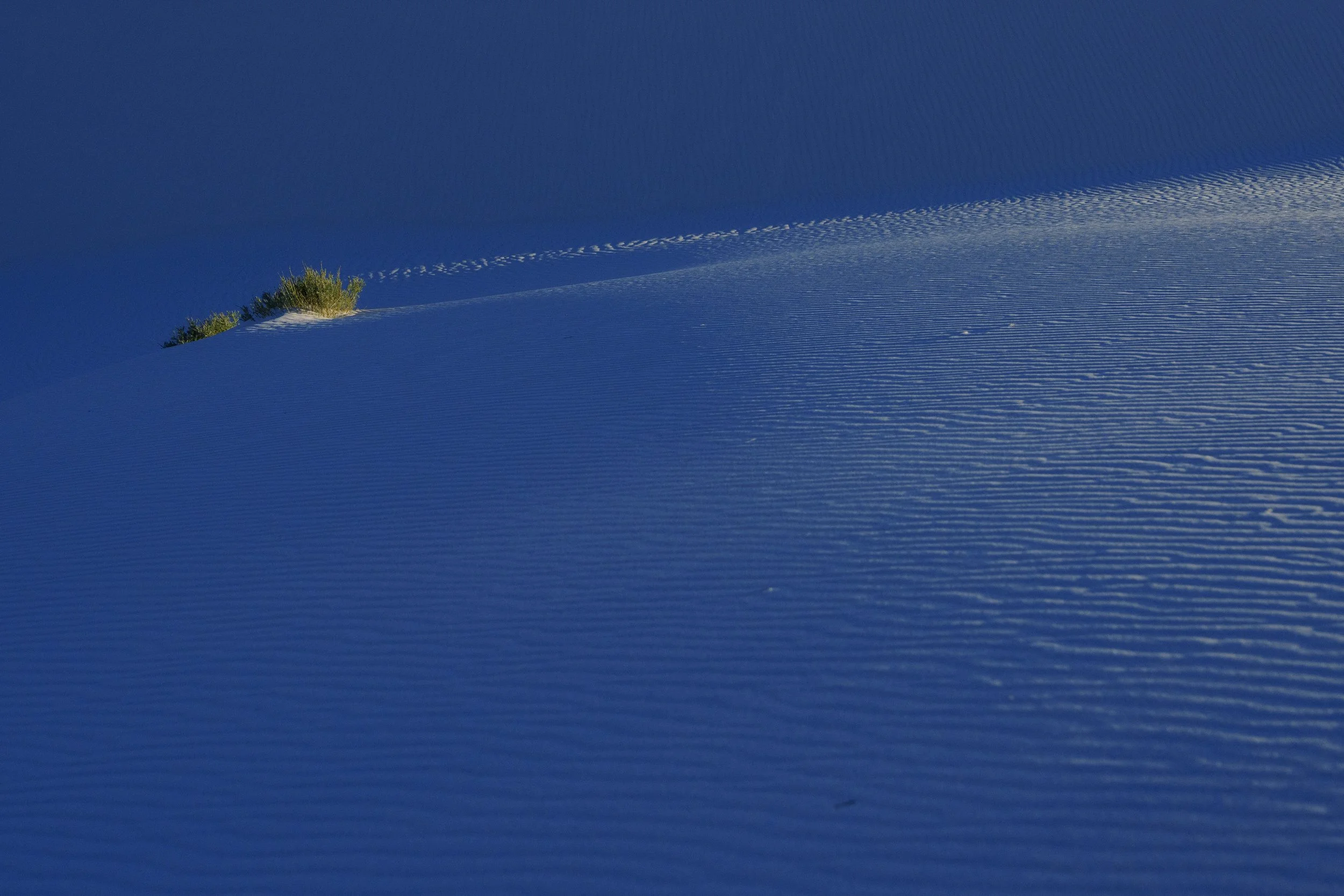PAB_RoadTrip_2026_11147.jpg