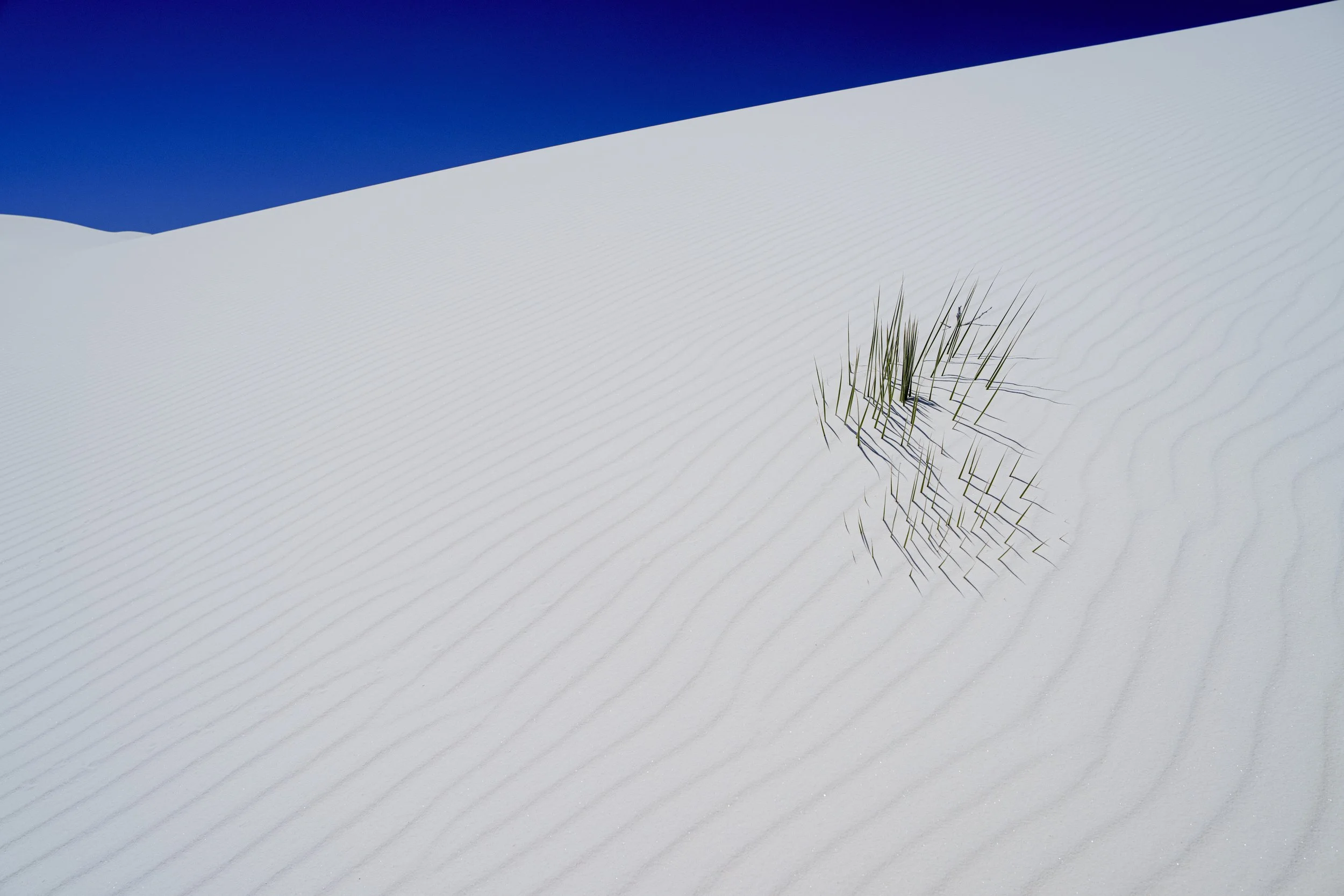 PAB_RoadTrip_2026_11424.jpg