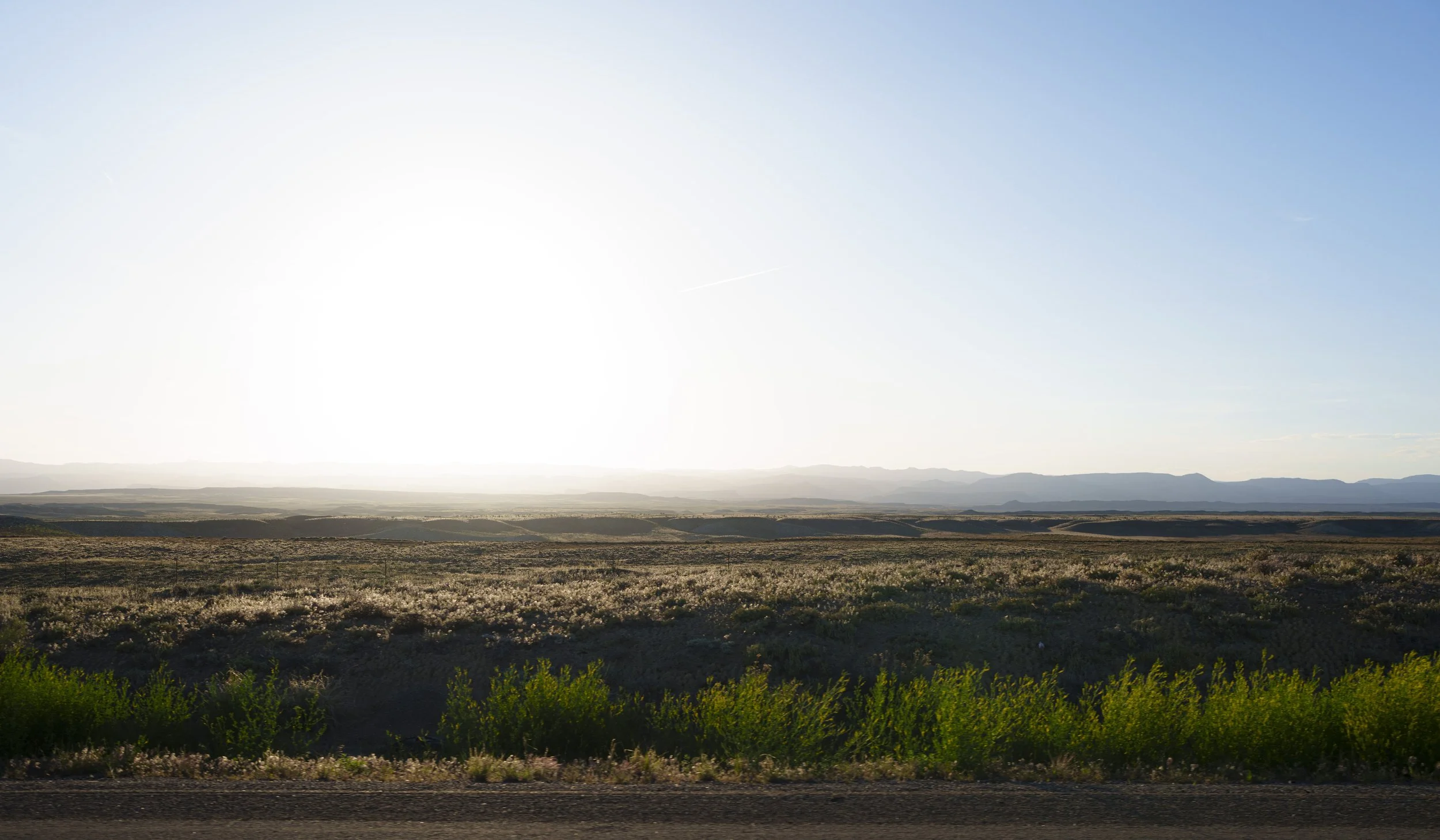 PAB_RoadTrip_2026_02060.jpg