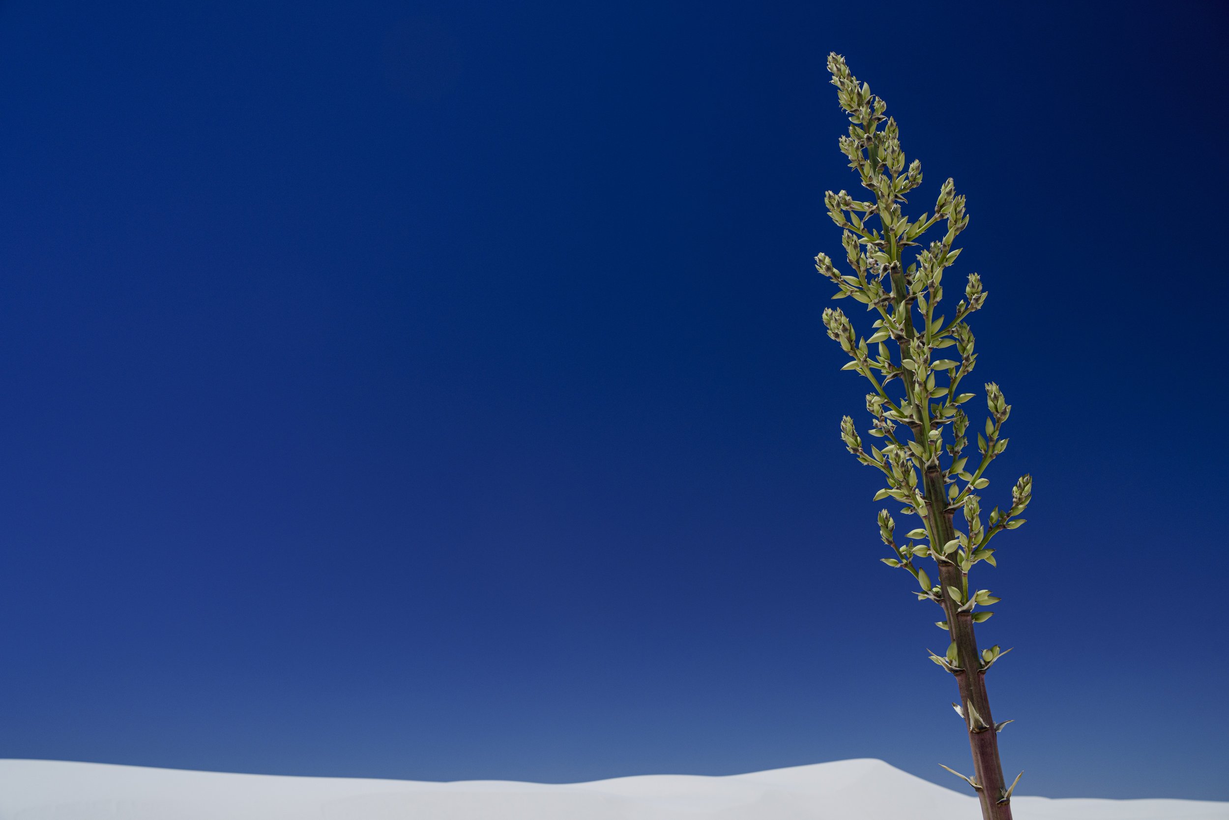 PAB_RoadTrip_2026_11415.jpg