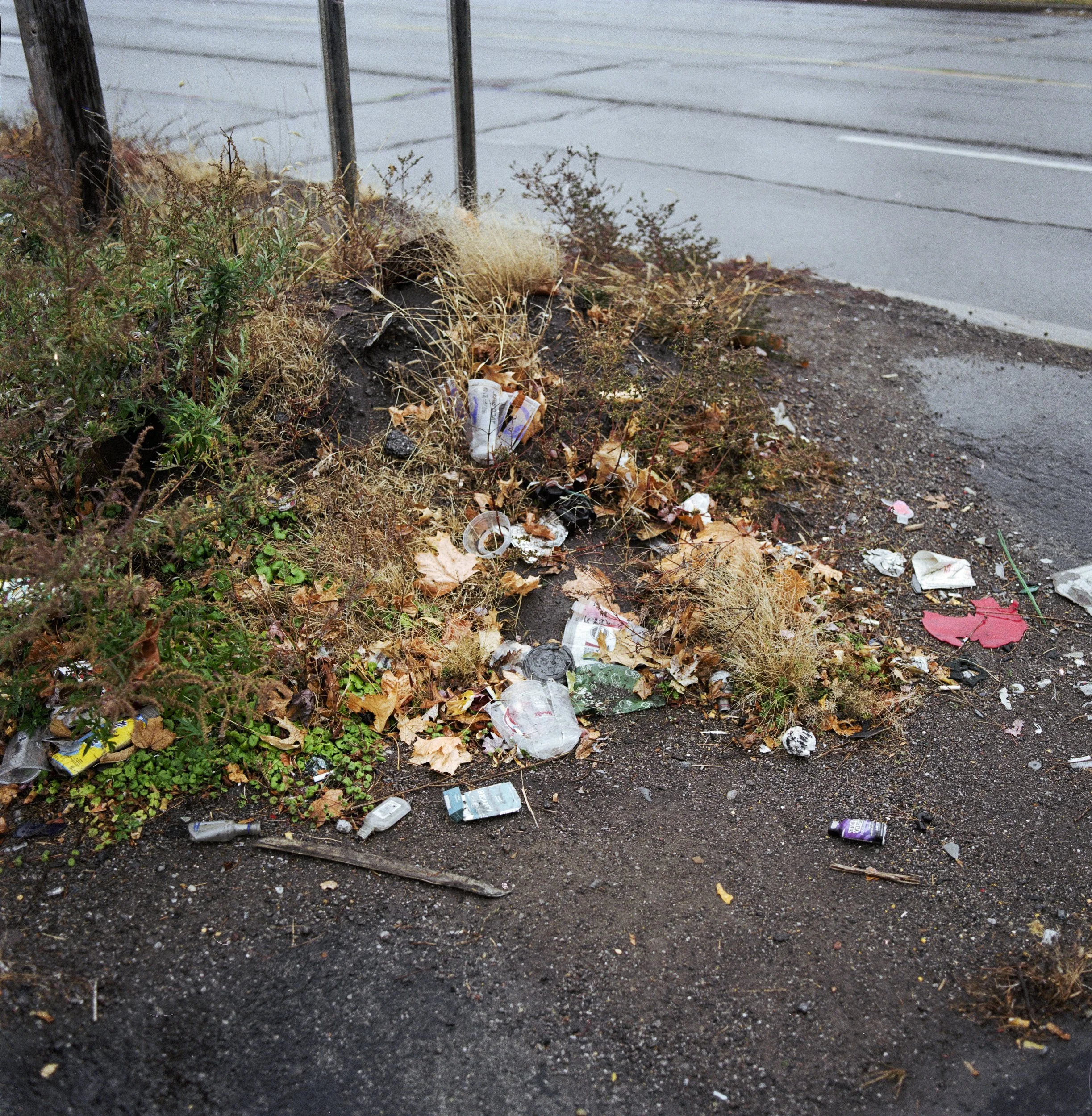 BeschTurner_final-12.JPG