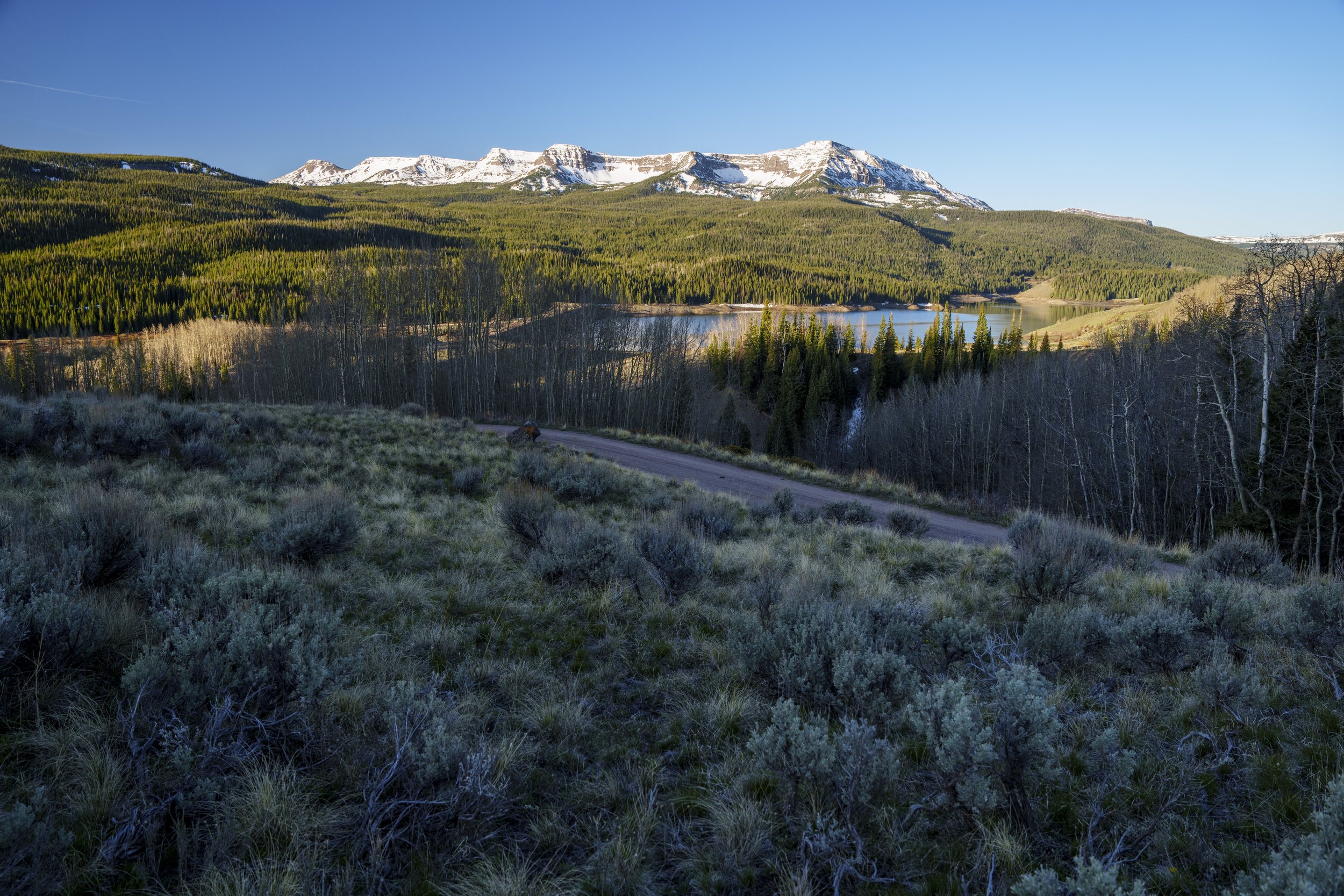 PAB_RoadTrip_2026_00546.jpg