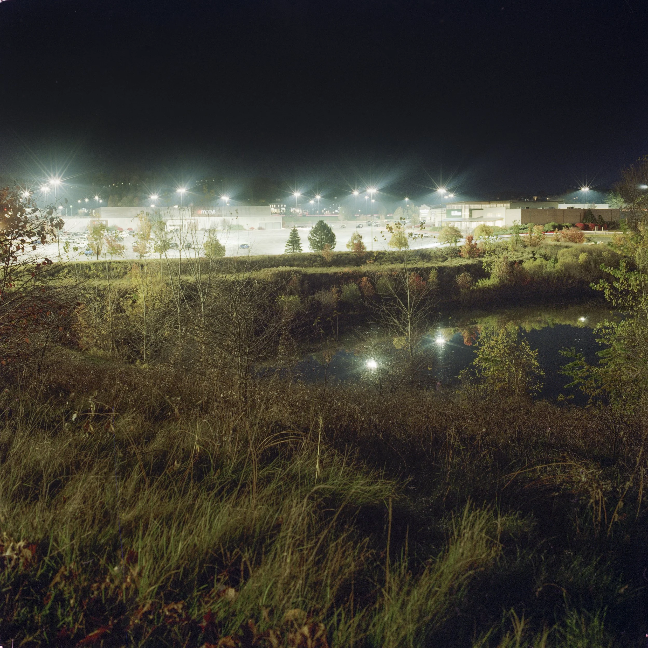 BeschTurner_final-6 2.JPG