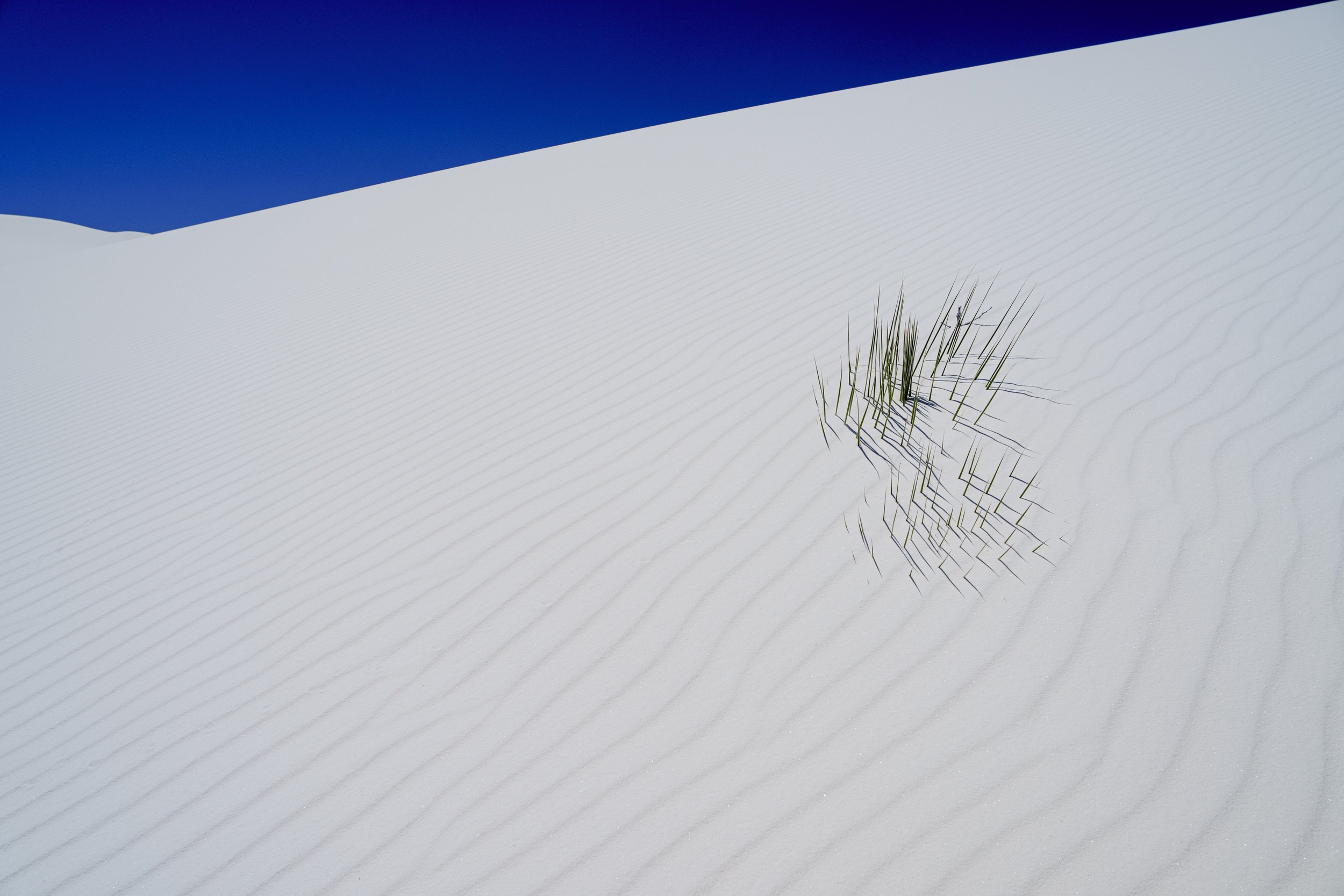 PAB_RoadTrip_2026_11424.jpg