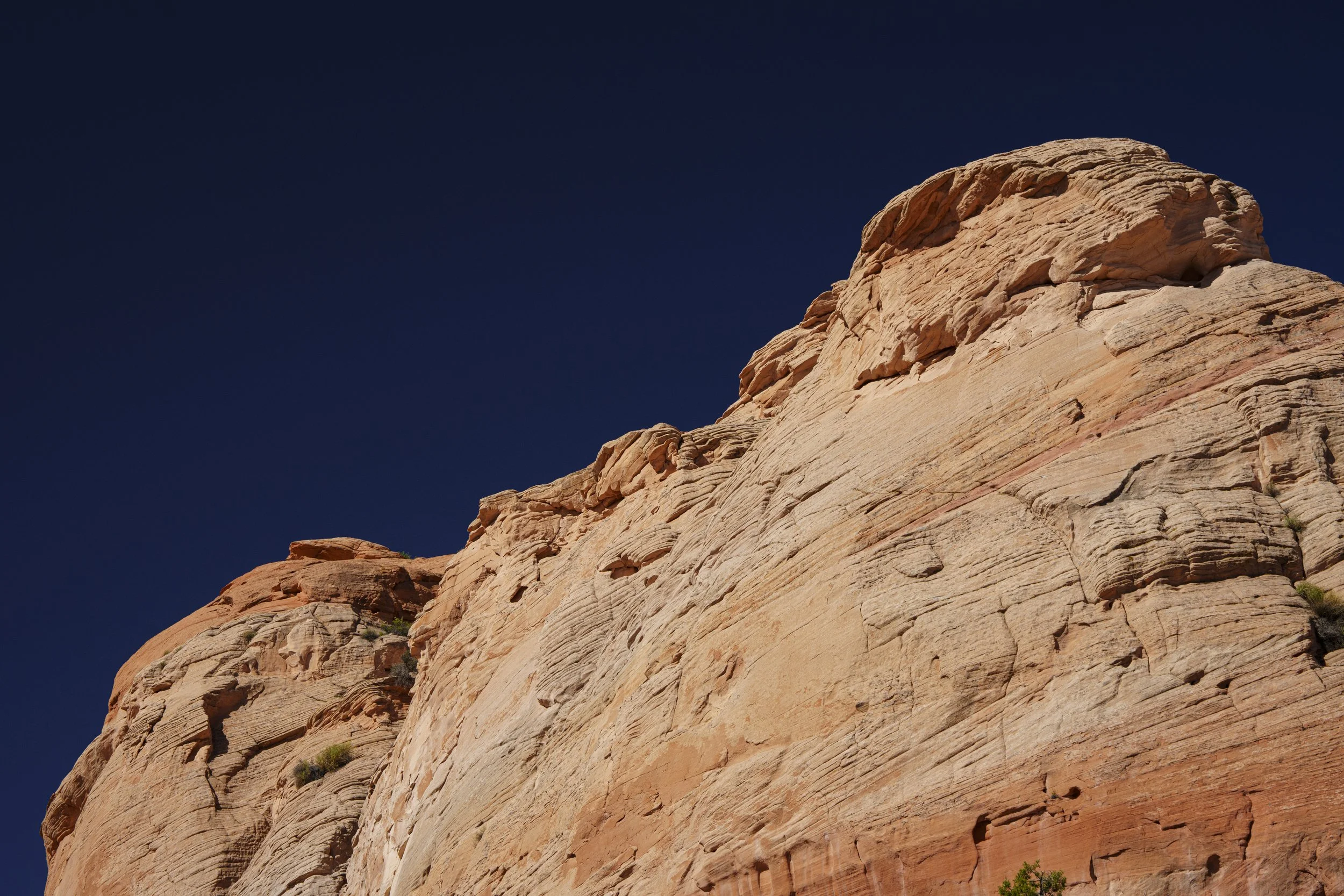 PAB_RoadTrip_2026_10566.jpg