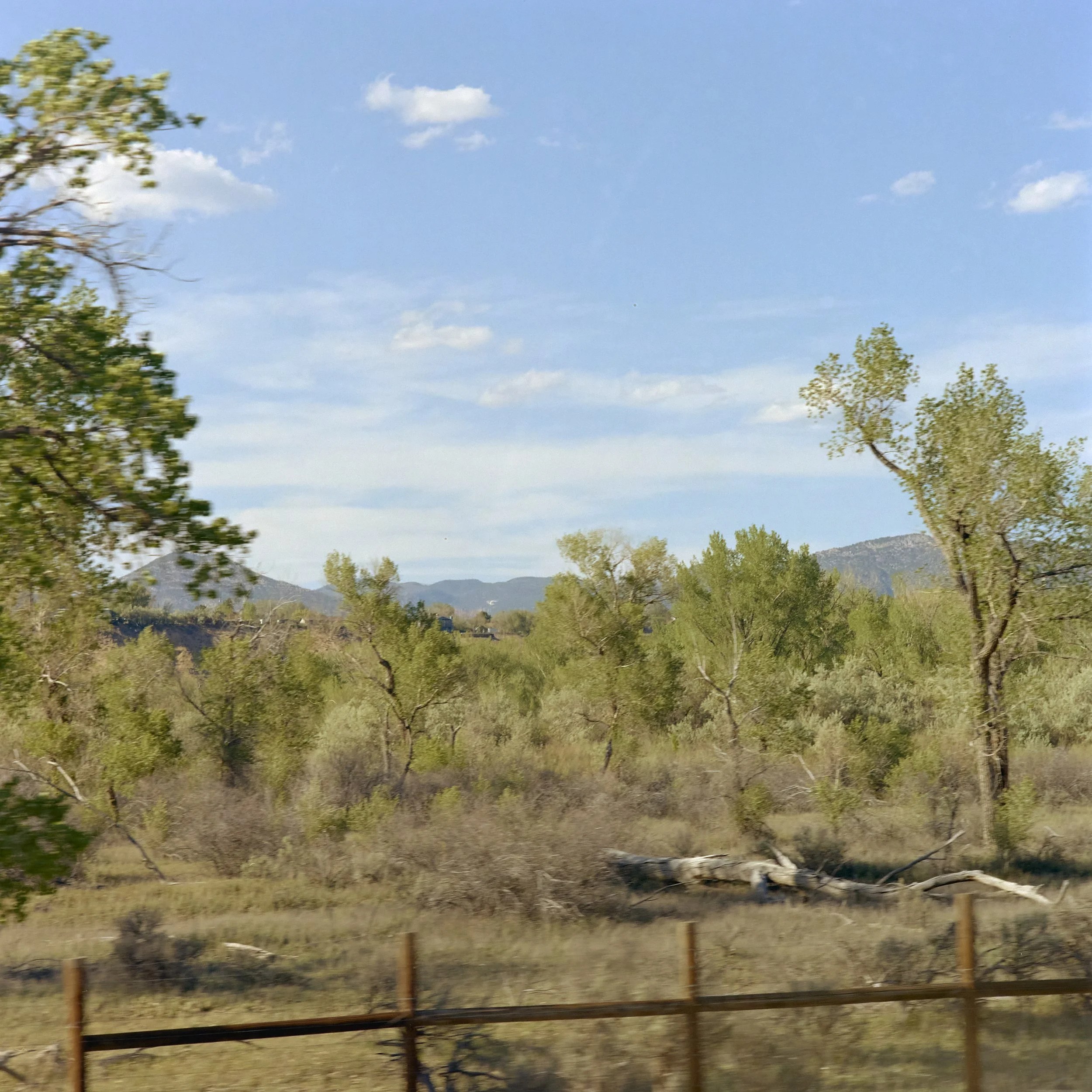PAB_Road Trip Film 296.jpg