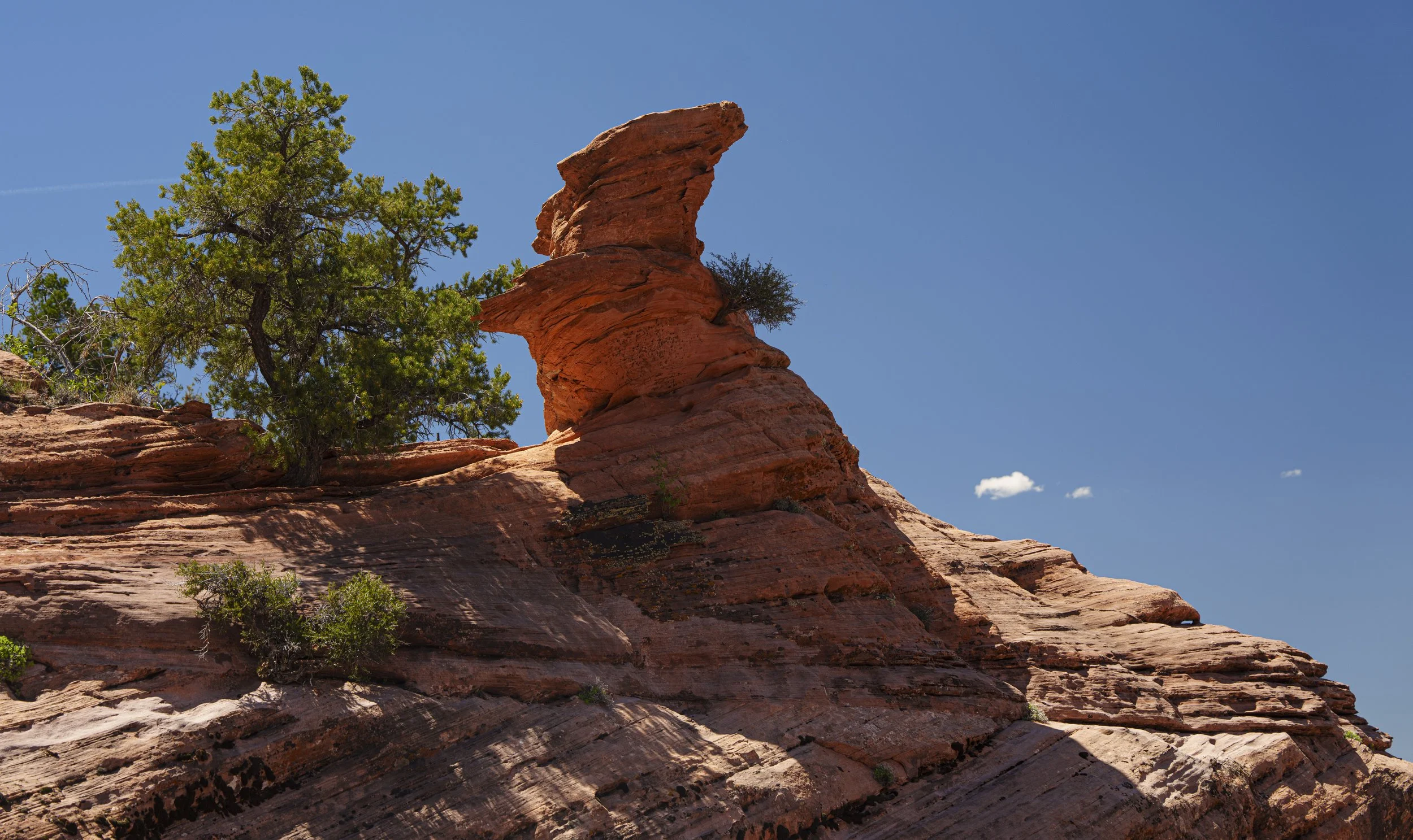 PAB_RoadTrip_2026_08981.jpg