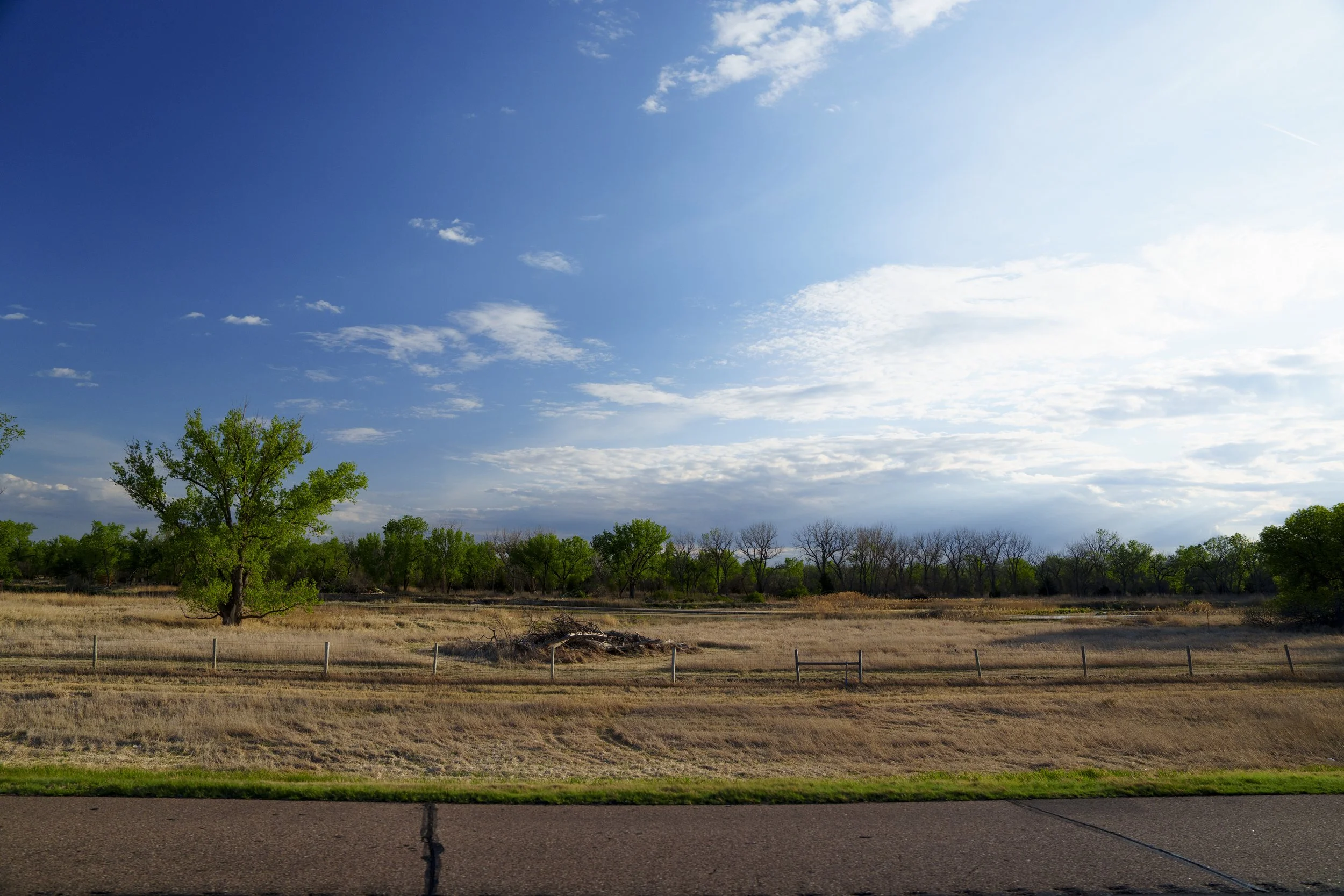 PAB_RoadTrip_2026_00354.jpg