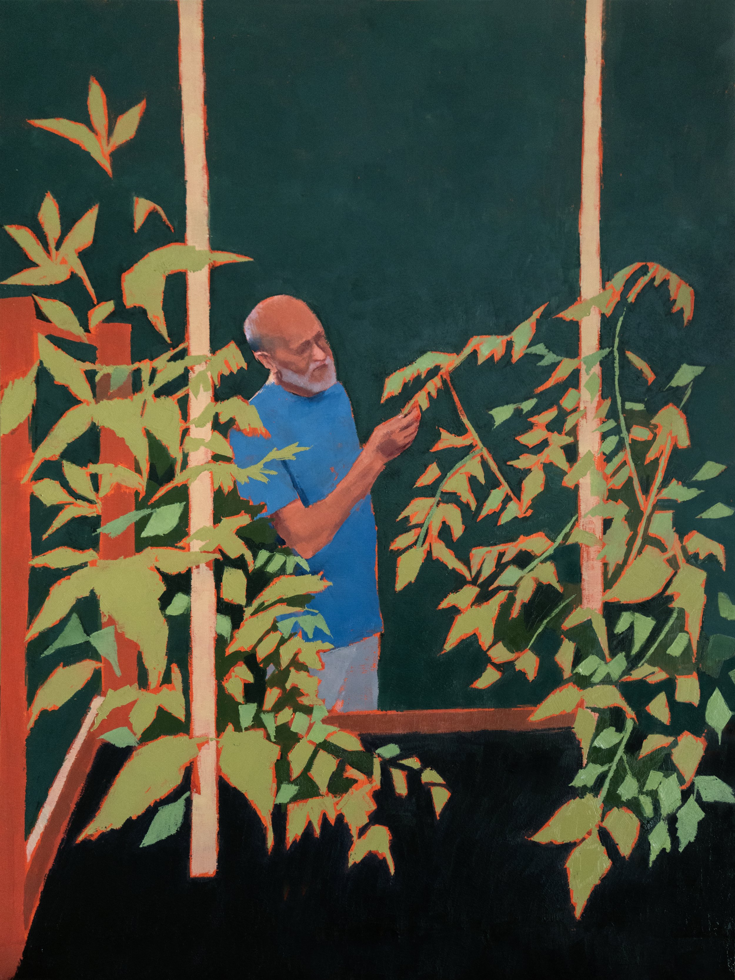 "Tomato Plants 1," 2026, oil on board, 18"x24"