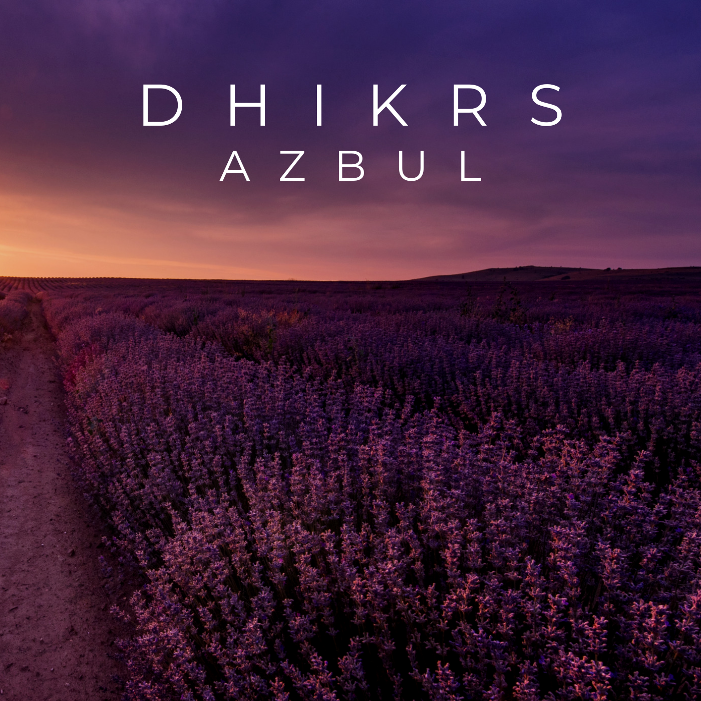 A field of blooming lavender plants at sunset with a dirt path on the left side and a purple and pink sky.
