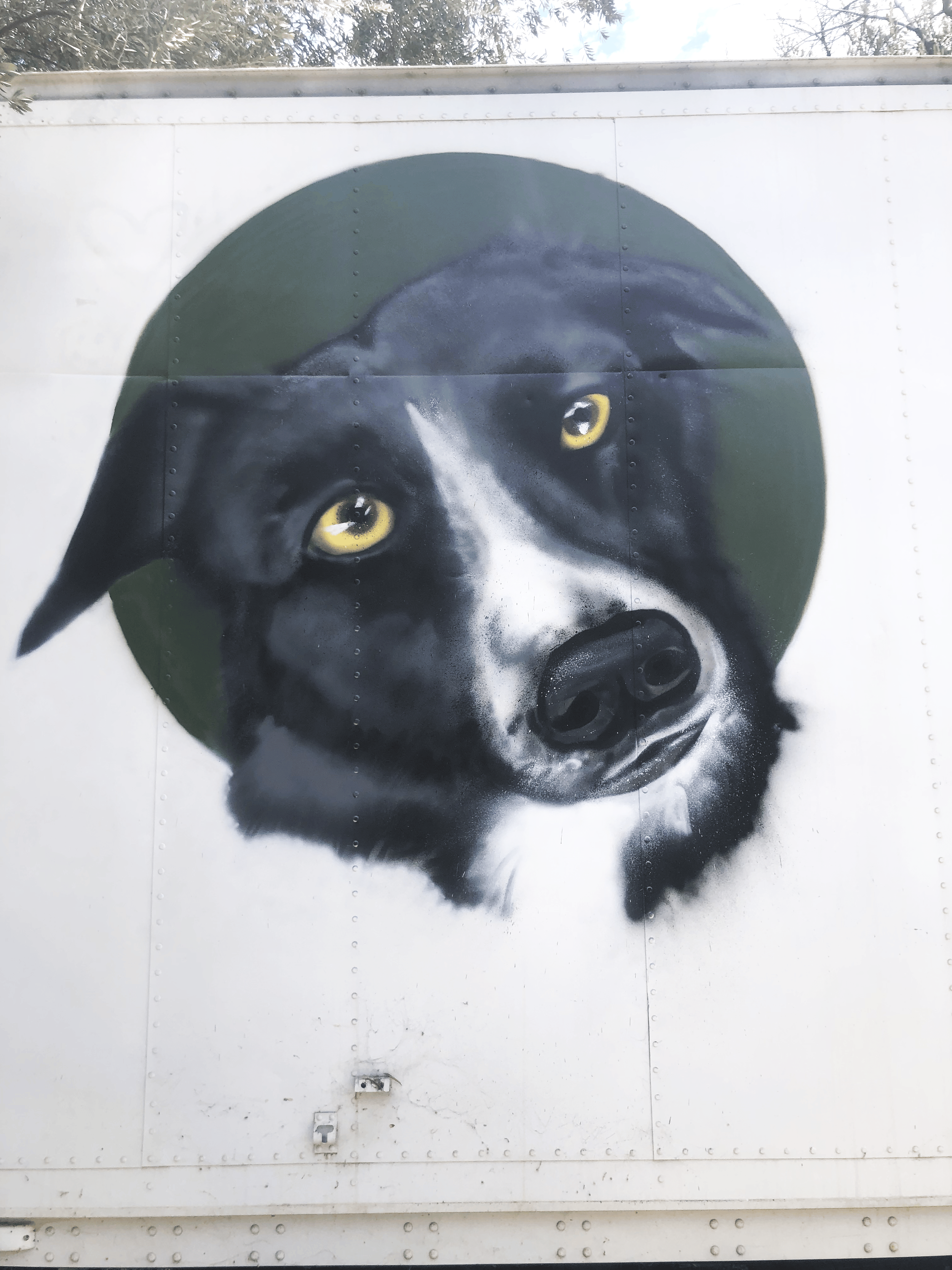 Mural Portrait painting on a cargo trailer of a male Boarder Collie.