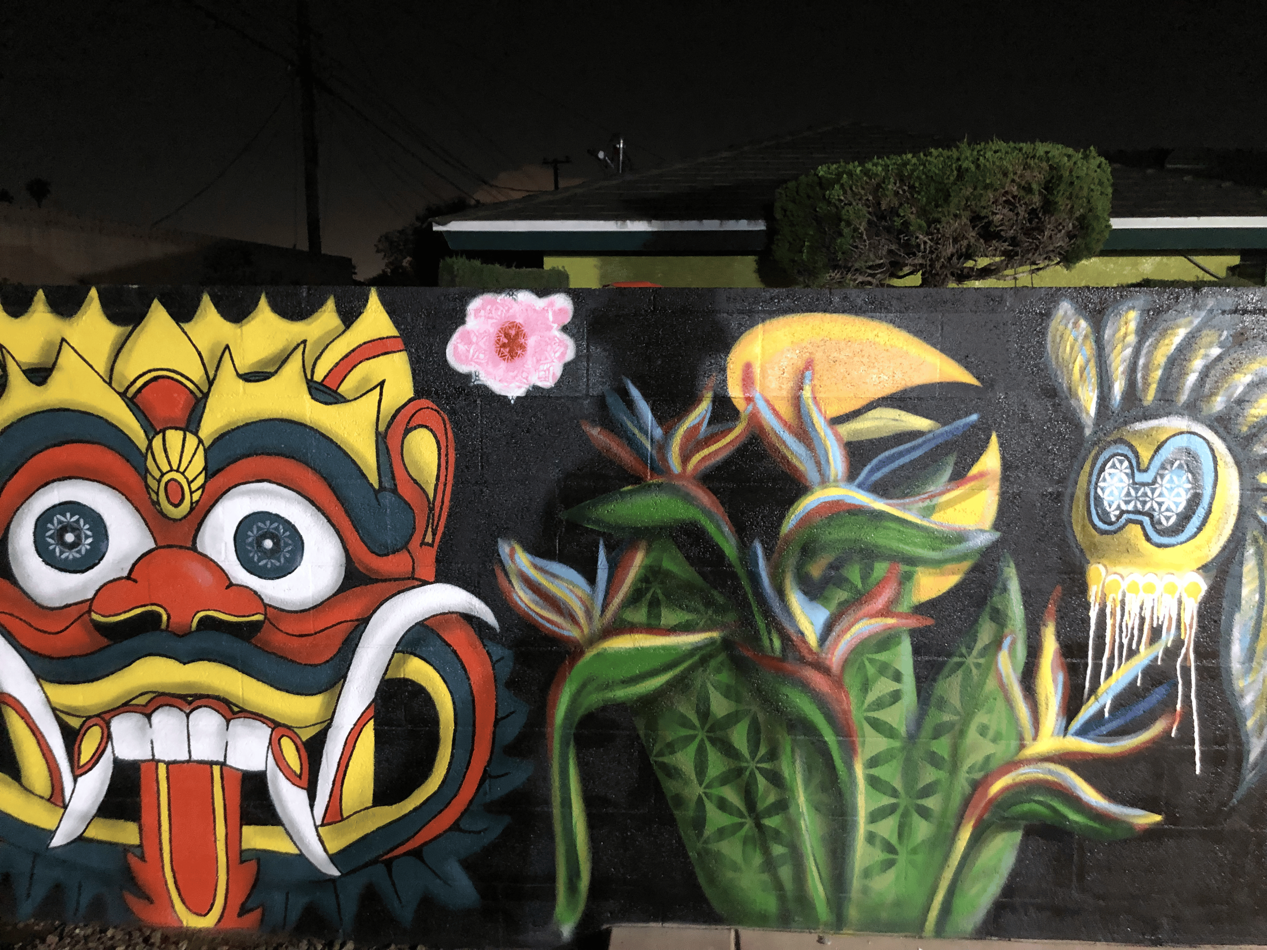 Colorful graffiti mural featuring a stylized face with large eyes and a crown on its head, next to green and floral patterns on a black wall, with a night sky and power lines in the background.