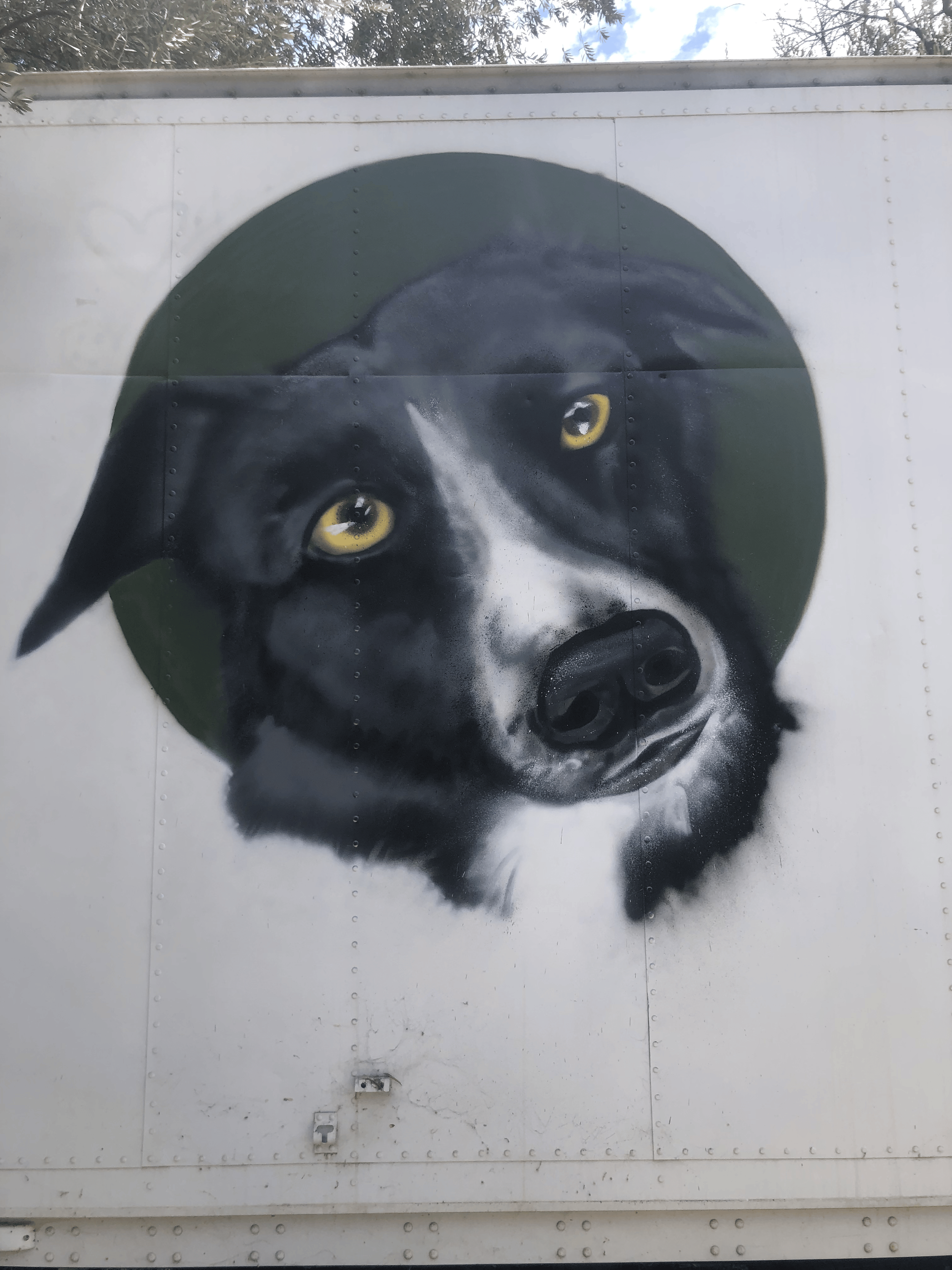 Dog Portrait Mural