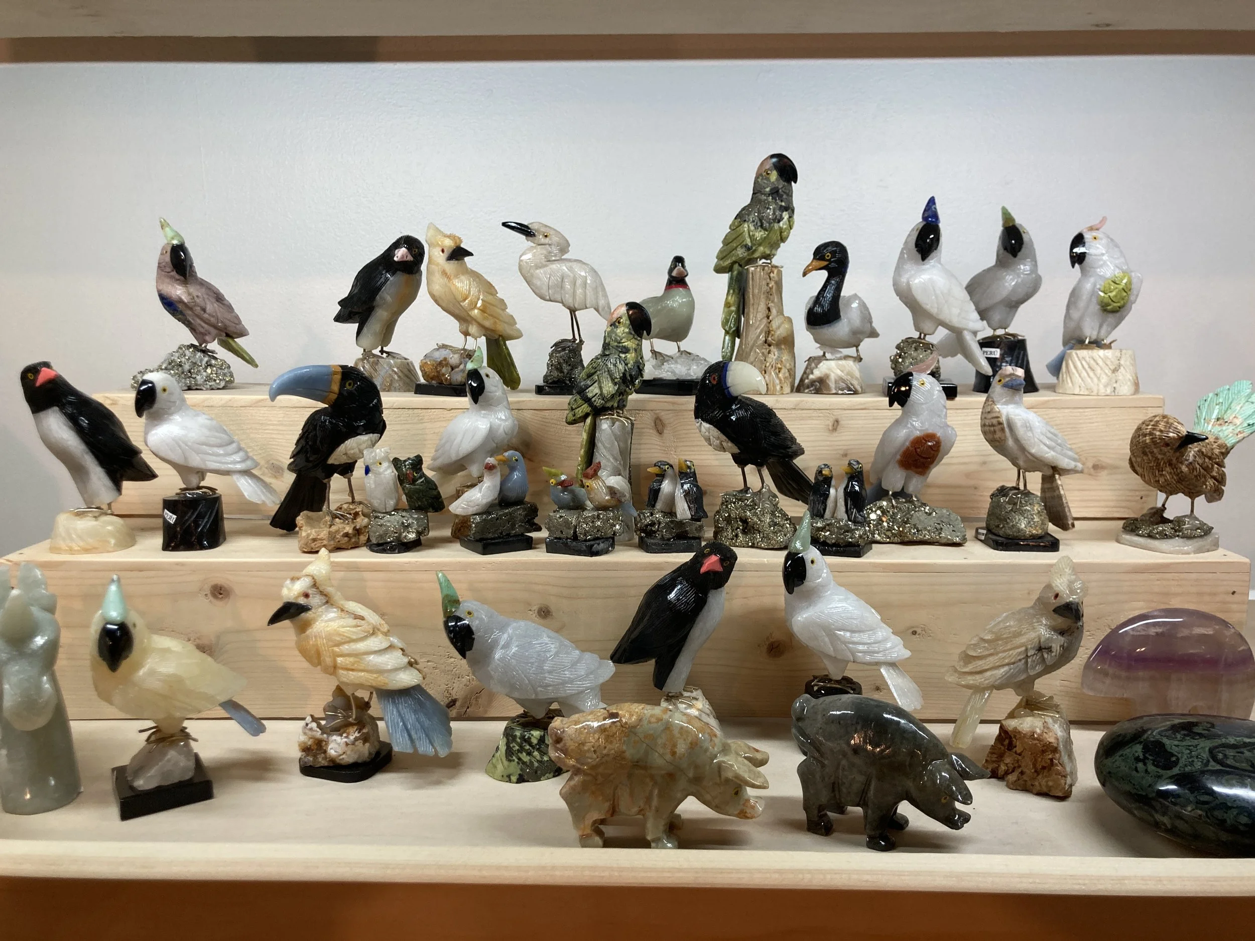 Display of various carved stone or mineral birds on wooden shelves.