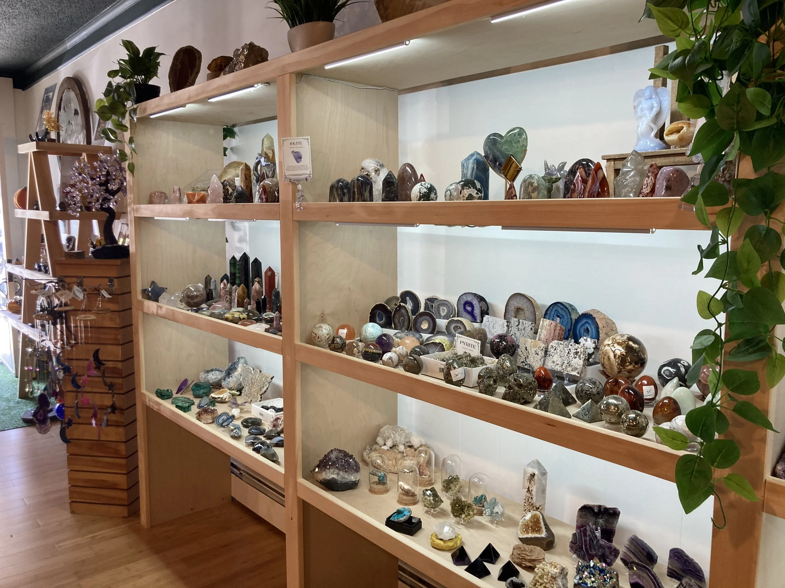 A wooden display shelf filled with various crystals, minerals, and gemstones in a store. Potted plants are on the top of the shelf, and additional mineral specimens are arranged on lower levels.