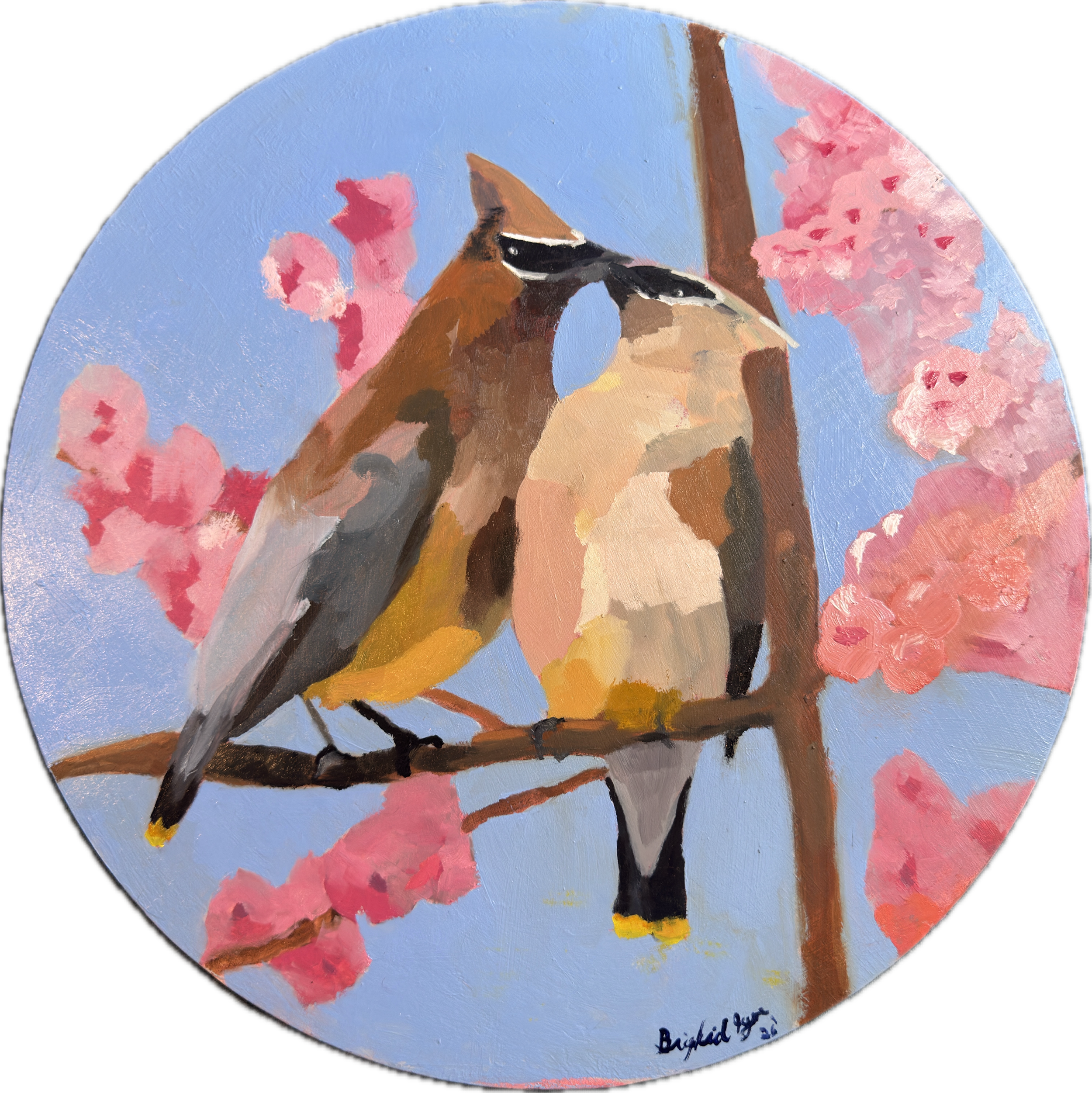 Bohemian Waxwings in a Cherry Tree Oil on wood panel 18" Diameter NFS