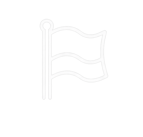 Icon of a flag on a pole with three waving stripes, white on black background.