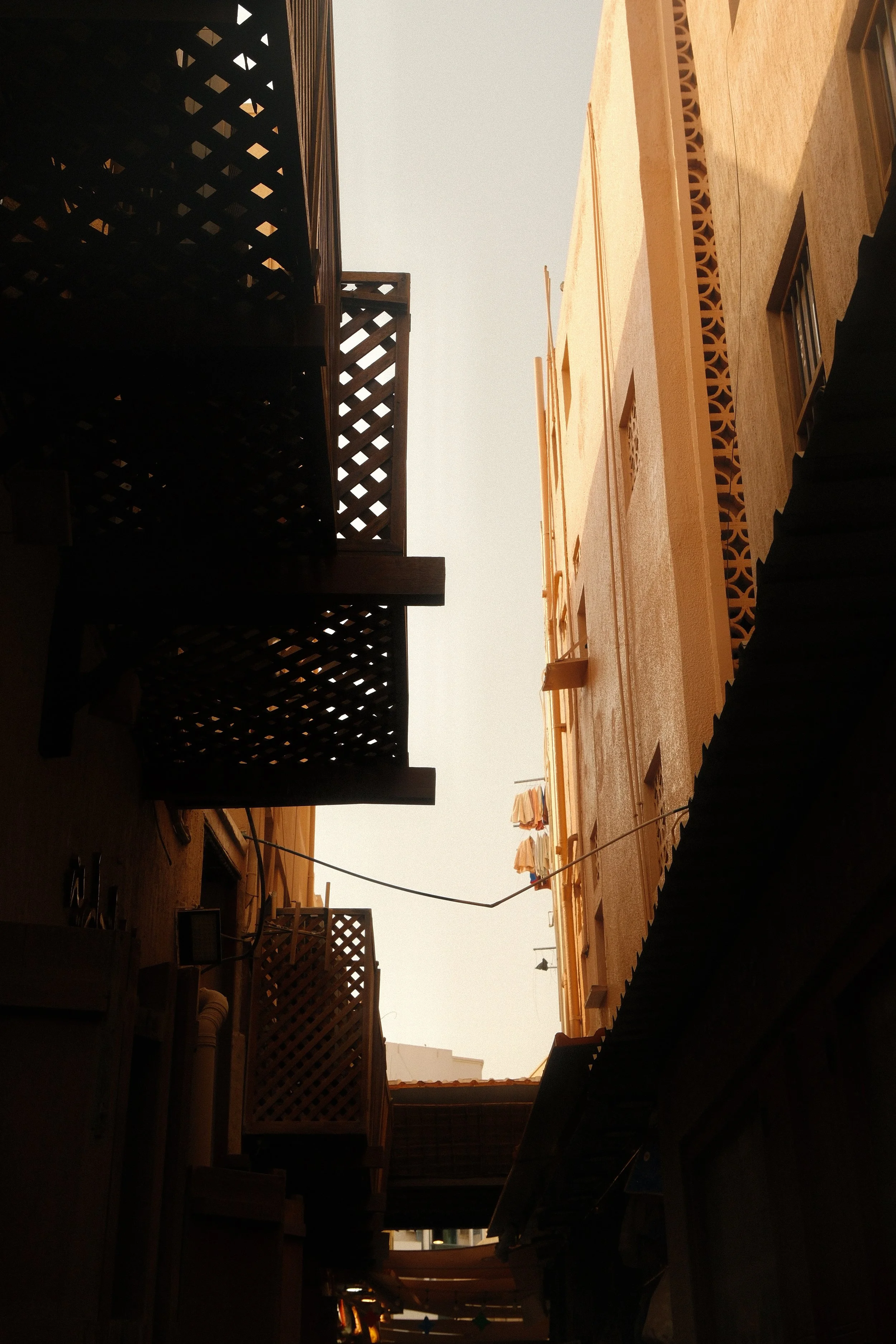 DSCF0784.jpg