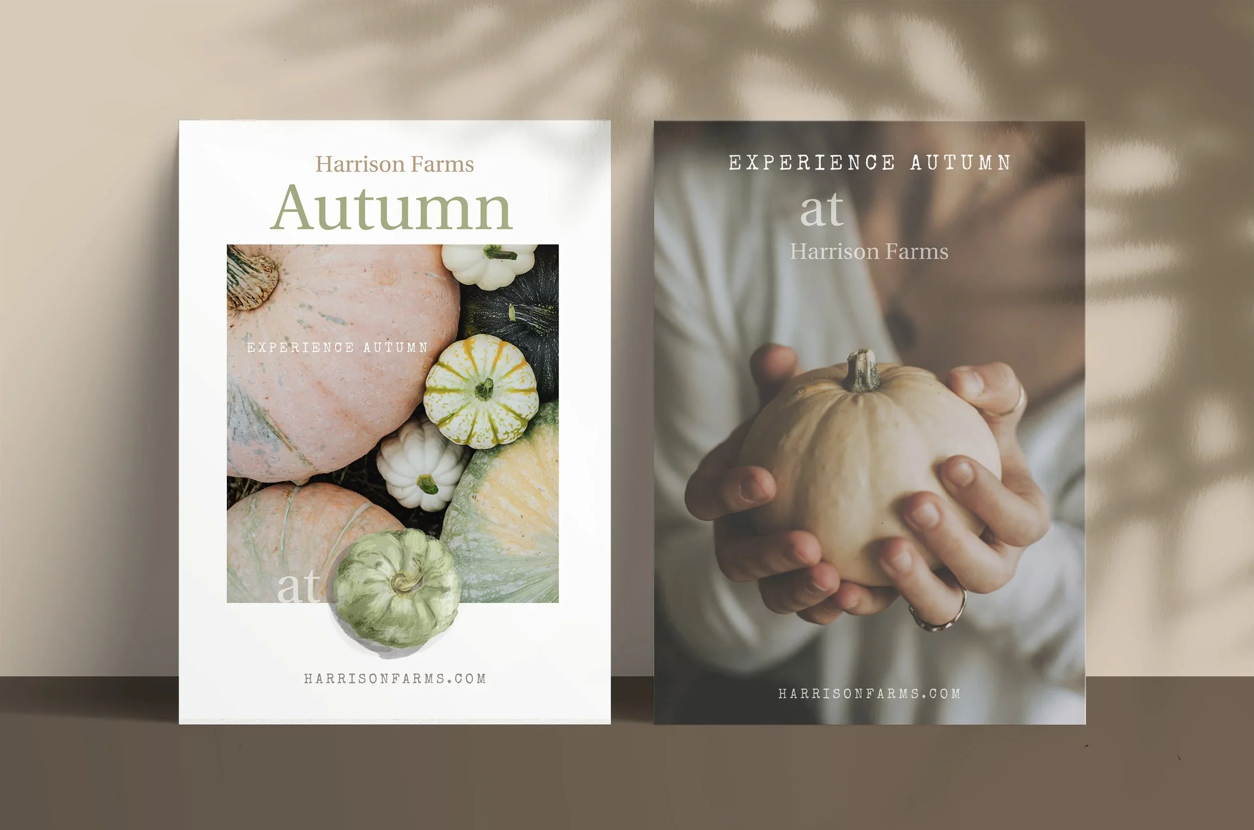 Harrison Farms Autumn Campaign