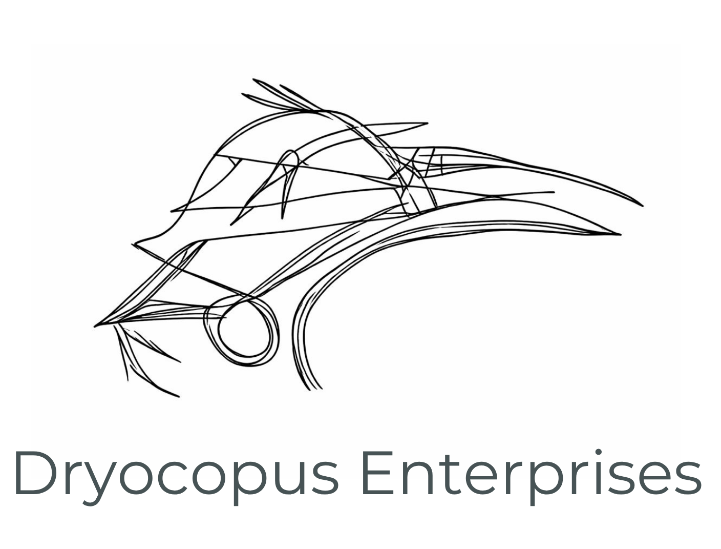 Dryocopus Enterprises