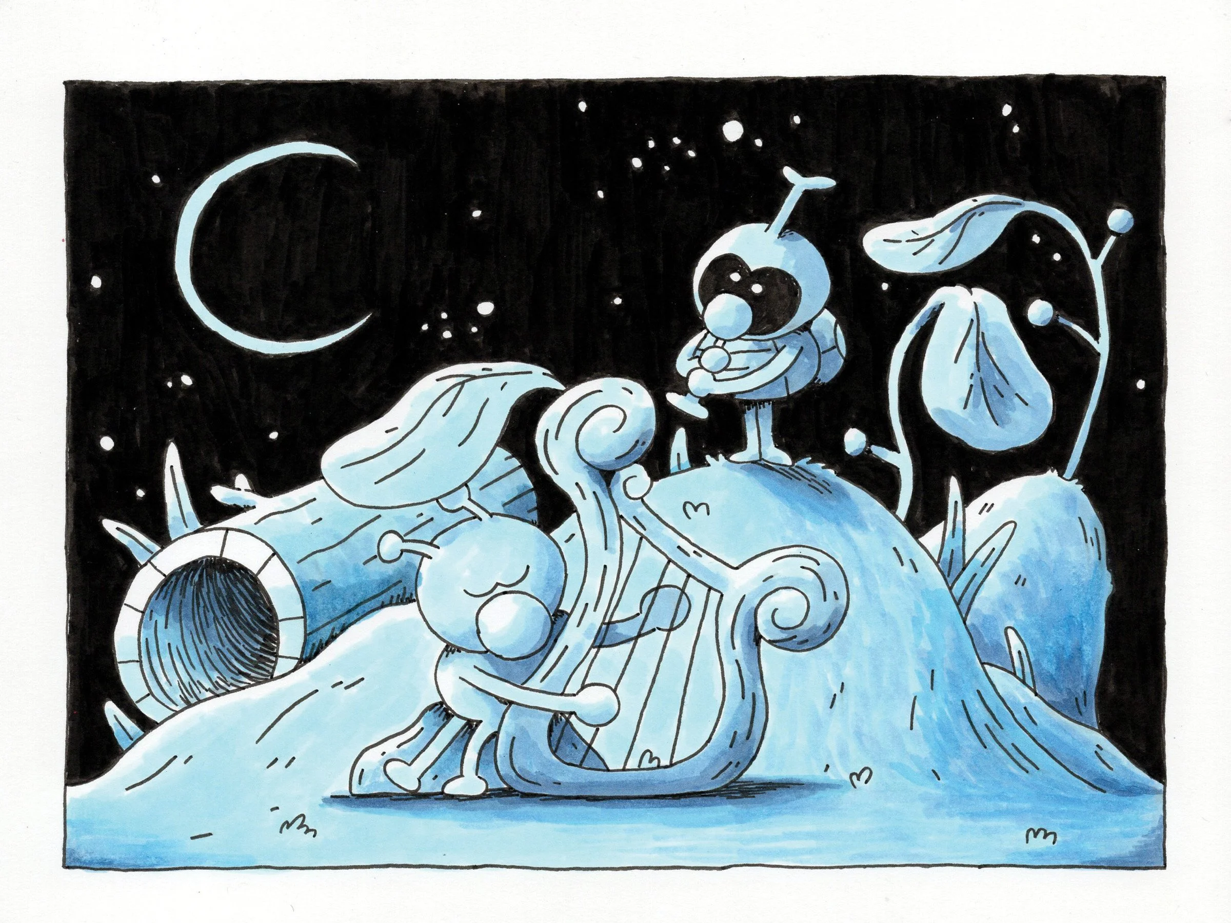Midnight Serenade