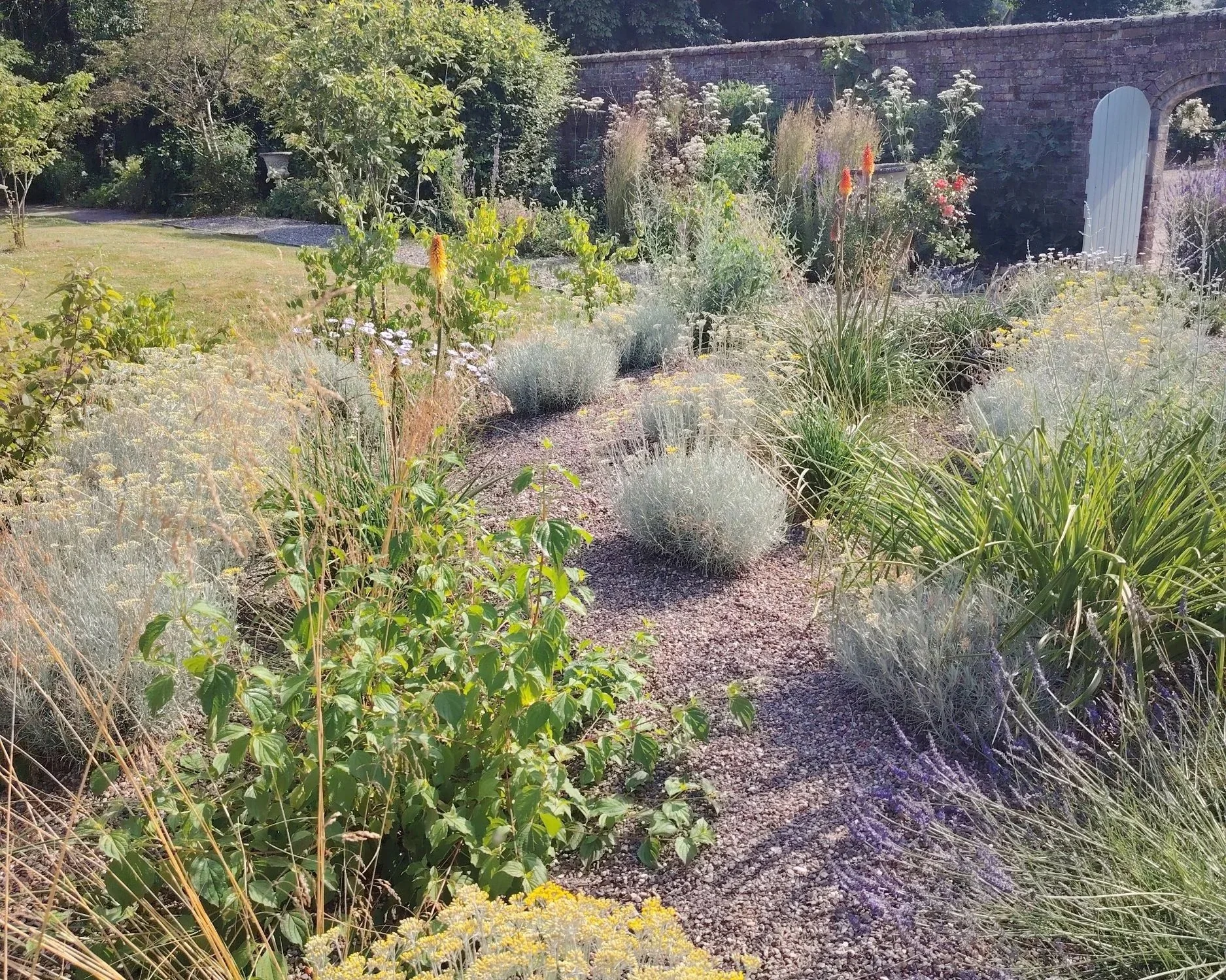 A lush garden scene with various green plants, shrubs, and yellow flowers, a gravel pathway cutting through the garden, a brick wall with a white gate, and trees in the background.