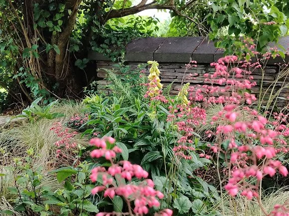 A garden with pink flowers, green leafy plants, a brick wall, and a tree in the background.