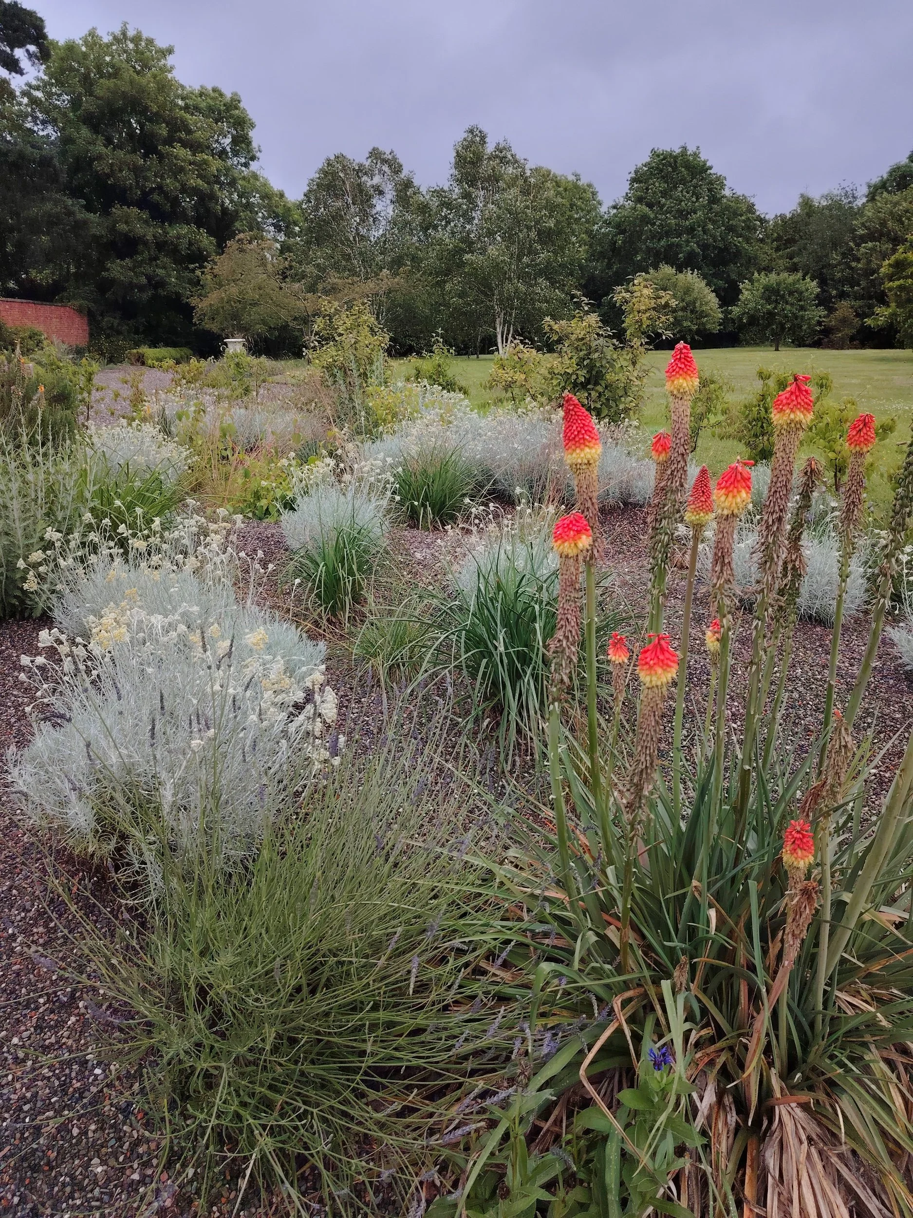 A garden with various plants and flowers, including tall red and yellow flowers in the foreground, greenery, trees, and a grassy area in the background under a partly cloudy sky.