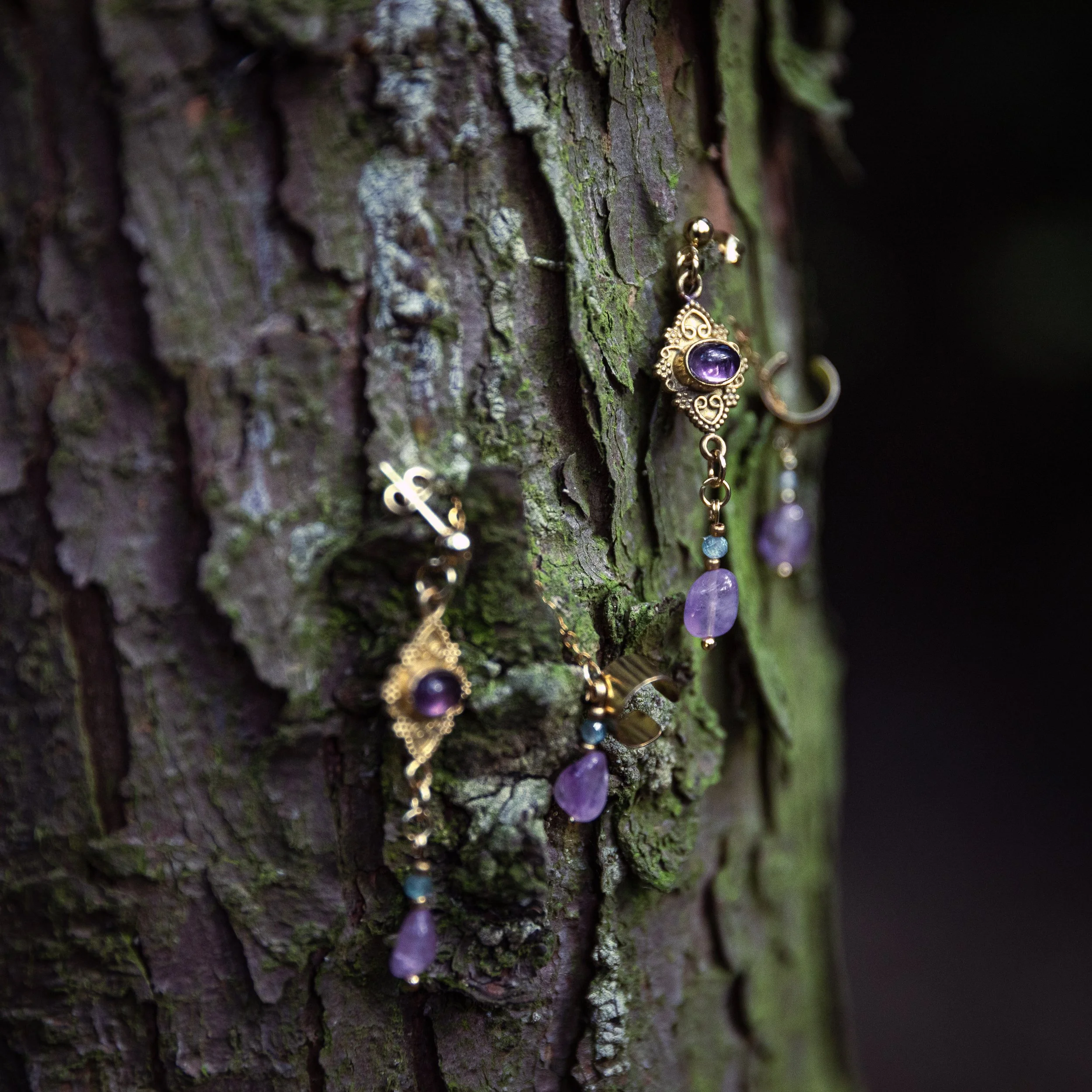 Nahaufnahme einer Baumrinde mit einer goldenen Halskette, die einen violetten Edelstein trägt, eingehängt an den Rinde.