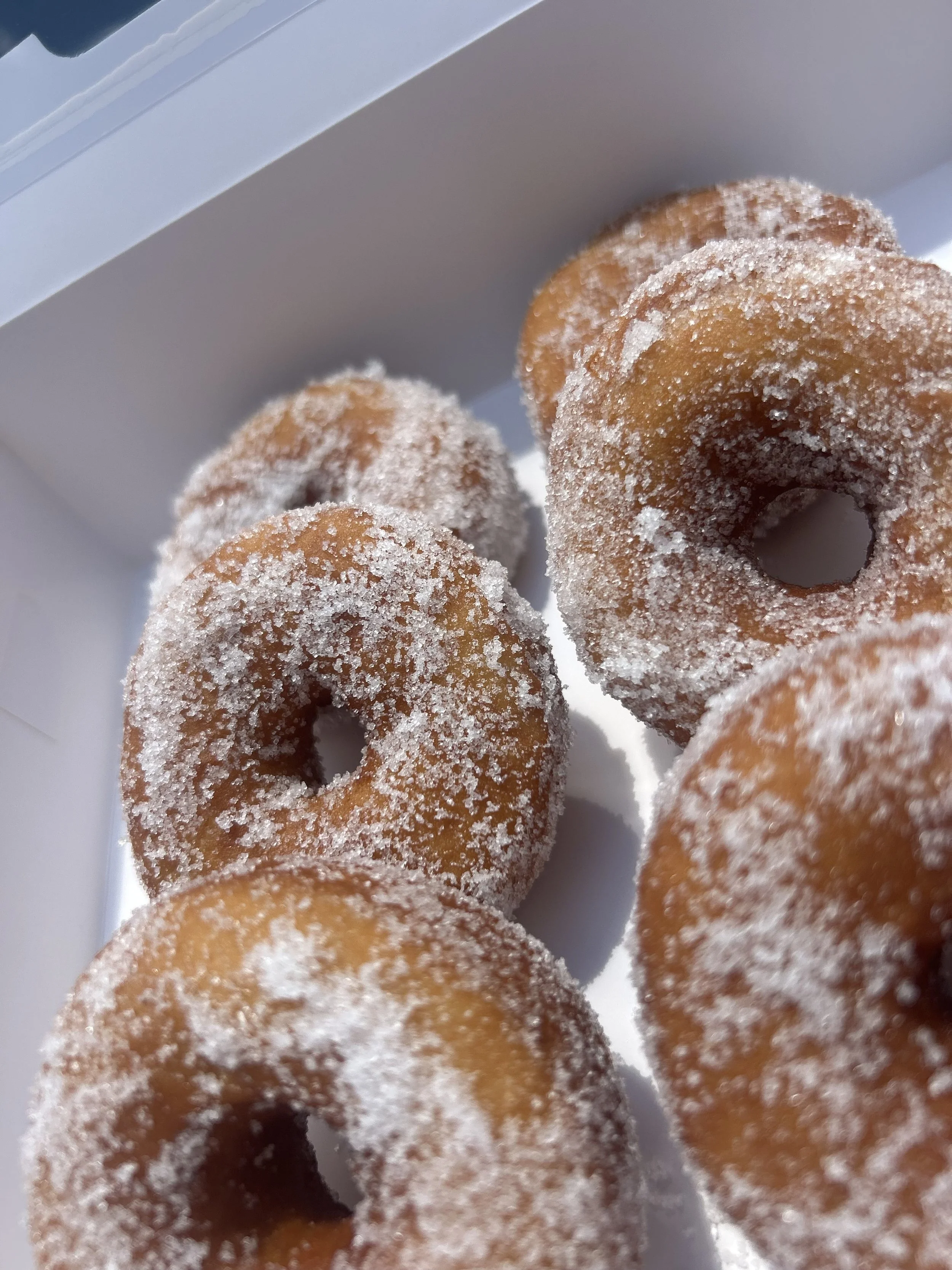Sugared Donuts ~ Half Dozen